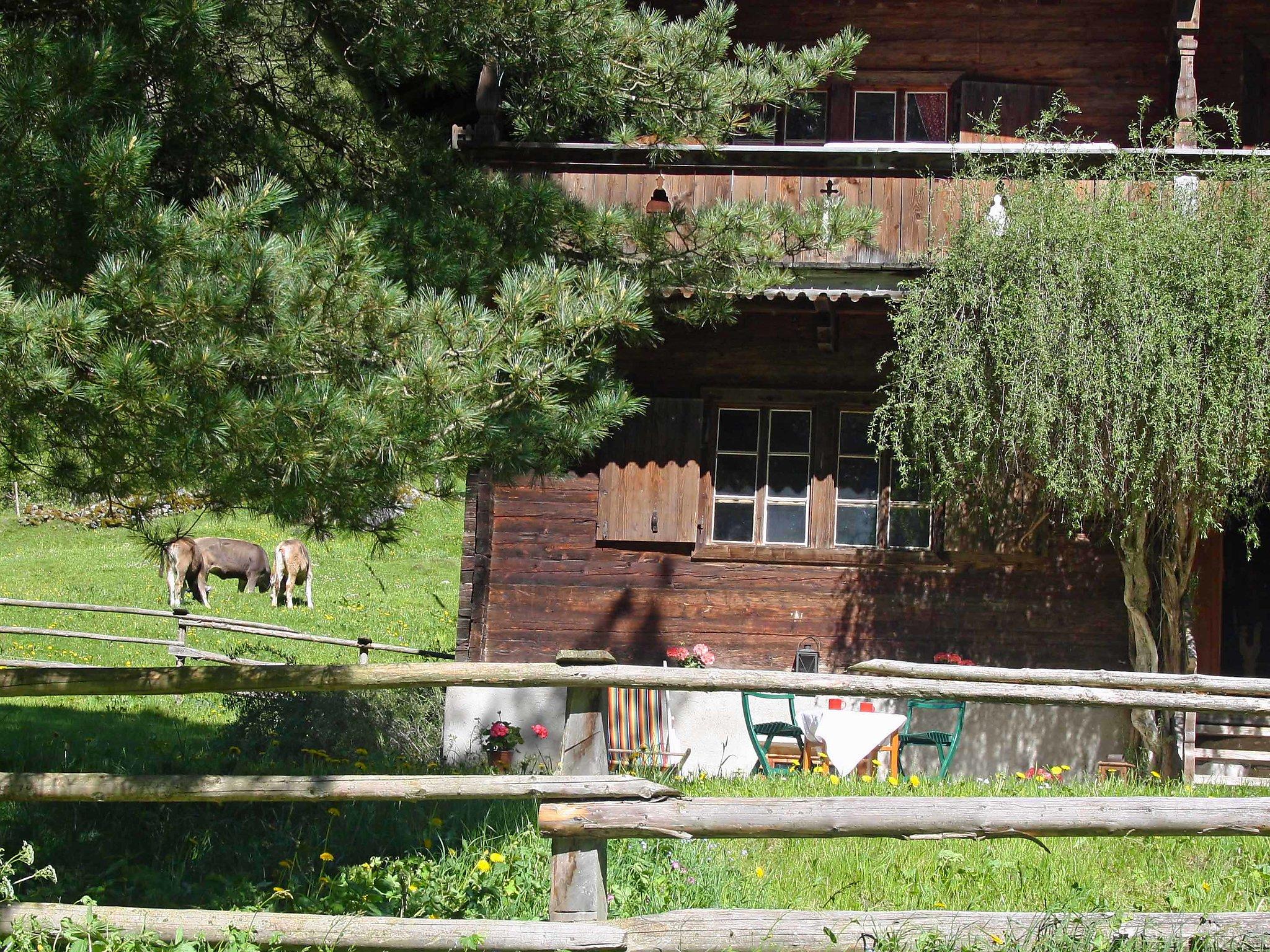 Foto 44 - Haus mit 4 Schlafzimmern in Finkenberg mit garten und blick auf die berge