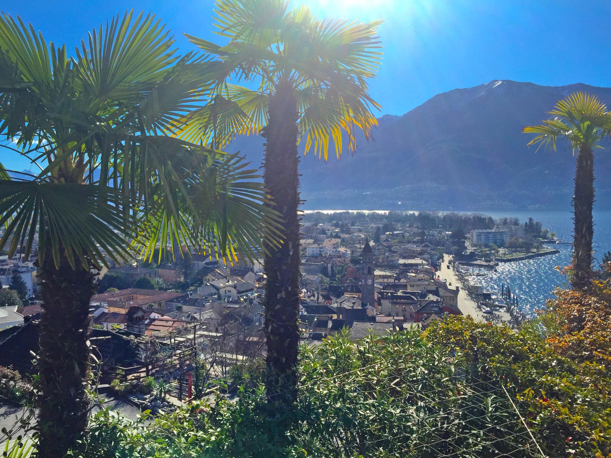 Photo 12 - Apartment in Ascona with mountain view