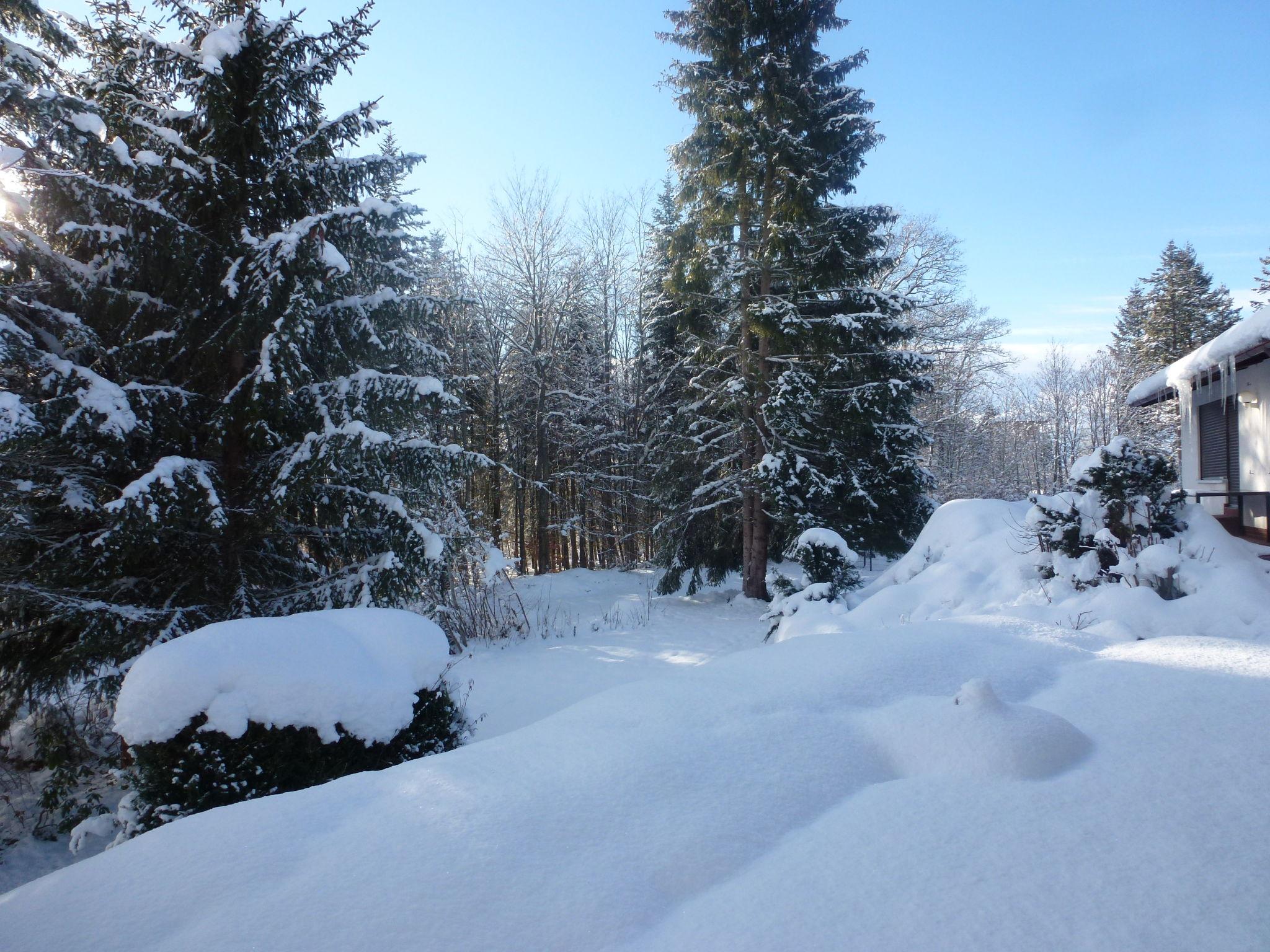 Photo 17 - Maison de 3 chambres à Löffingen avec jardin et vues sur la montagne