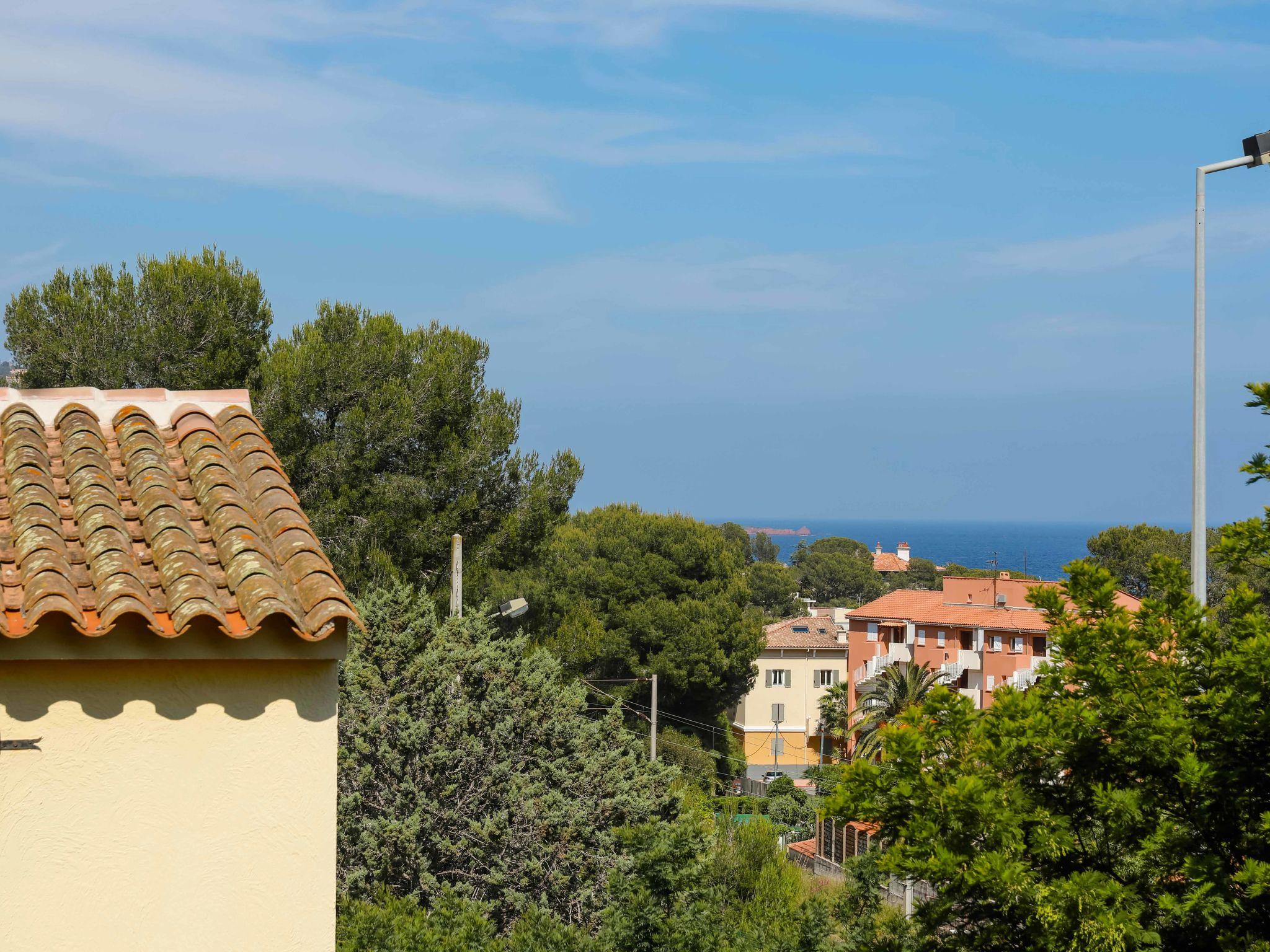 Foto 9 - Appartamento con 1 camera da letto a Saint-Raphaël con piscina e vista mare