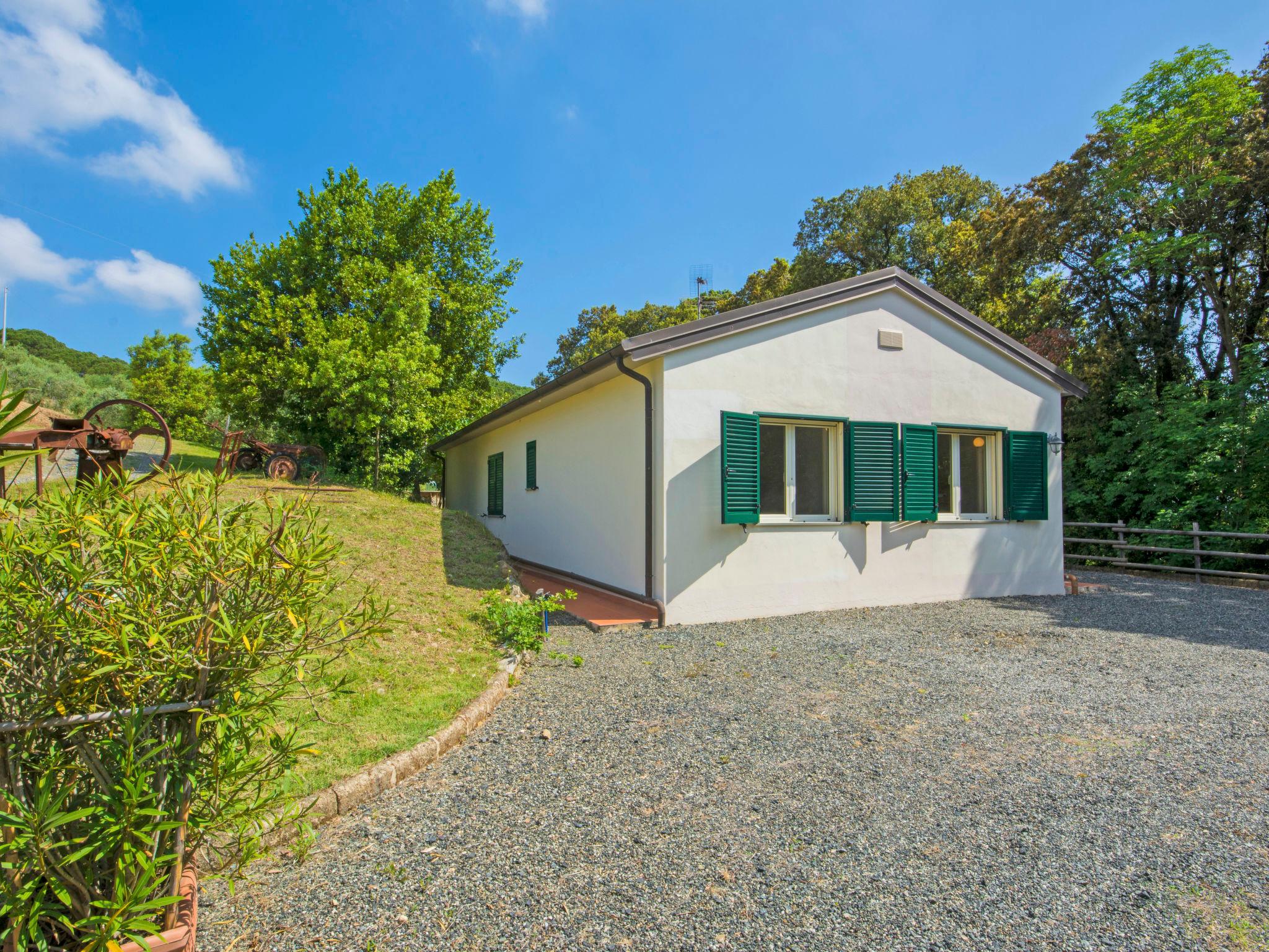 Foto 30 - Casa con 3 camere da letto a Rosignano Marittimo con piscina privata e giardino