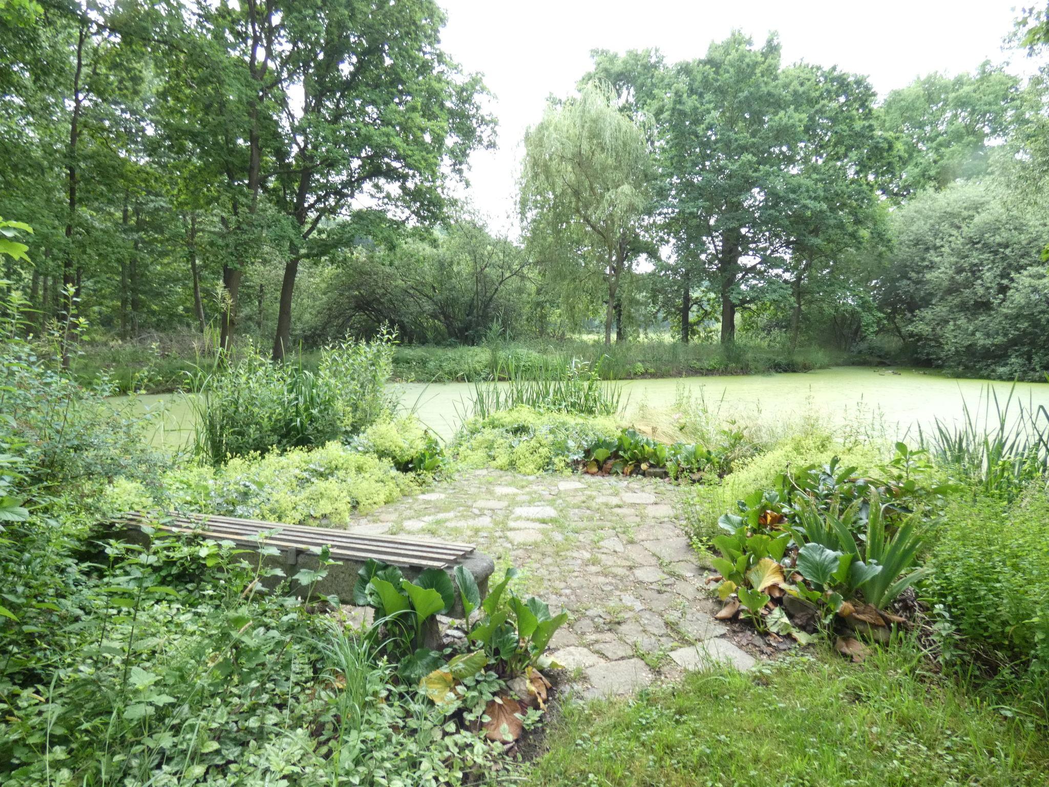 Photo 6 - Appartement de 1 chambre à Weißenberg avec jardin et terrasse