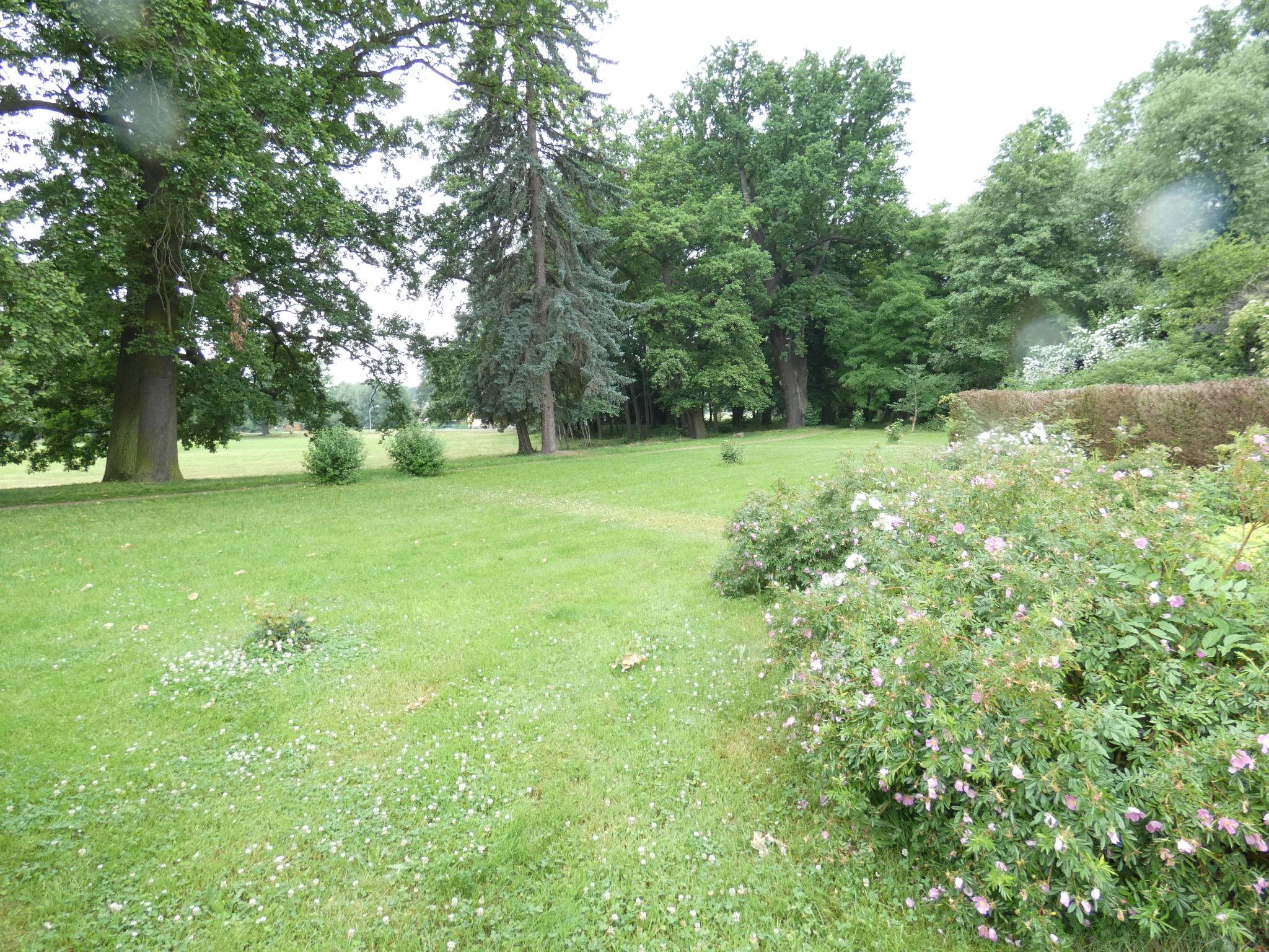 Photo 17 - Appartement de 1 chambre à Weißenberg avec jardin et terrasse