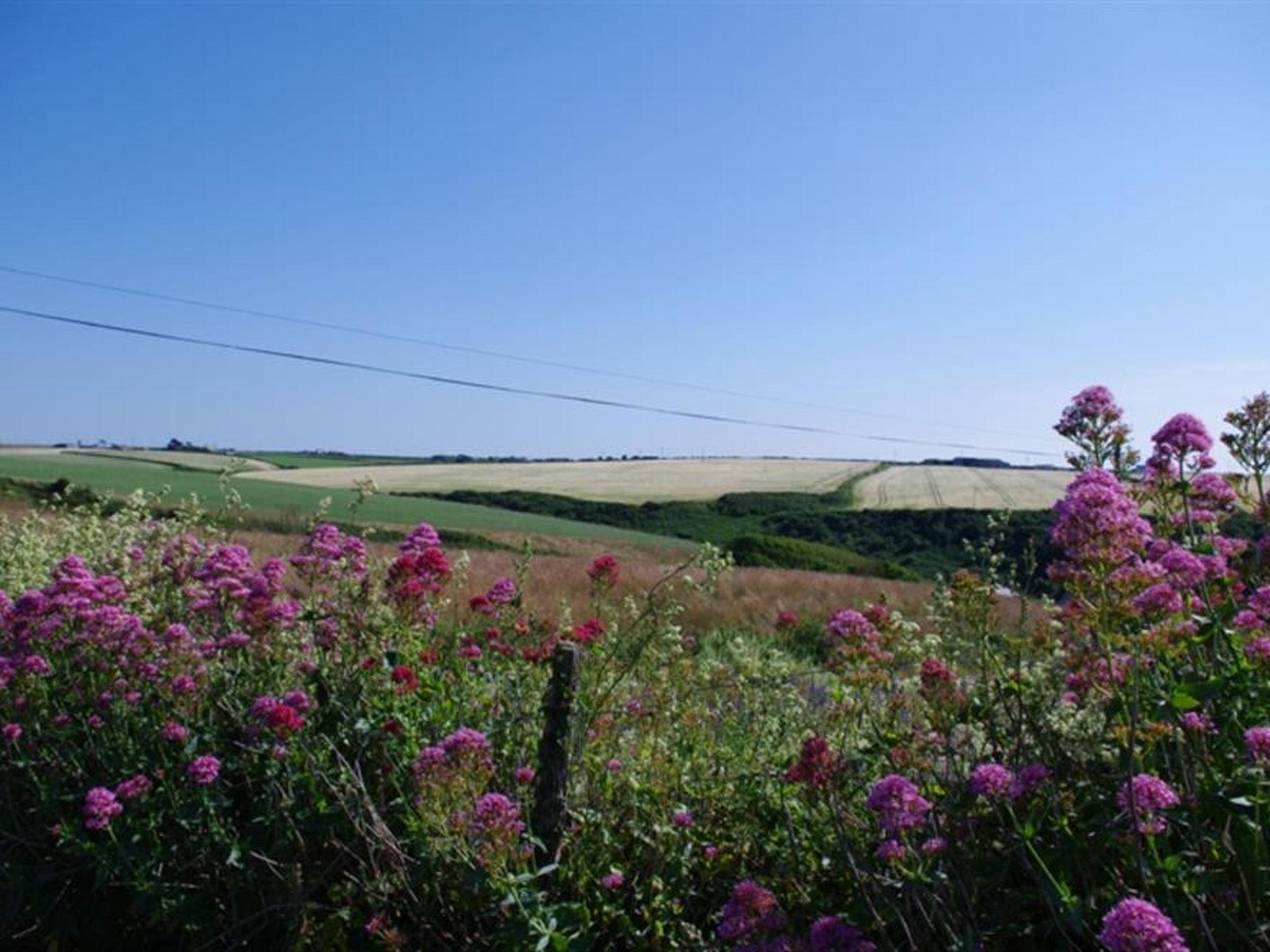 Photo 9 - 3 bedroom House in Padstow with garden and sea view