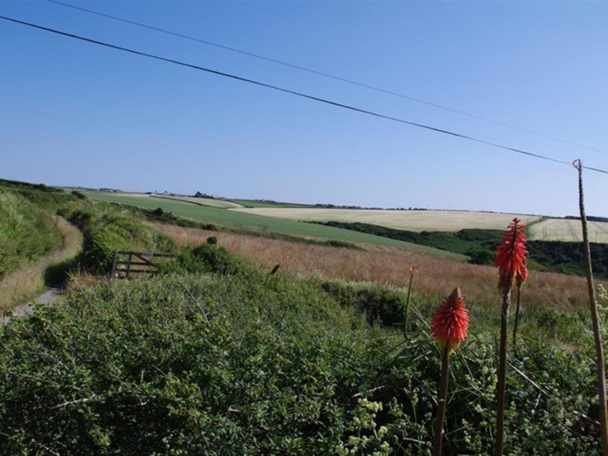 Photo 8 - 3 bedroom House in Padstow with garden and sea view