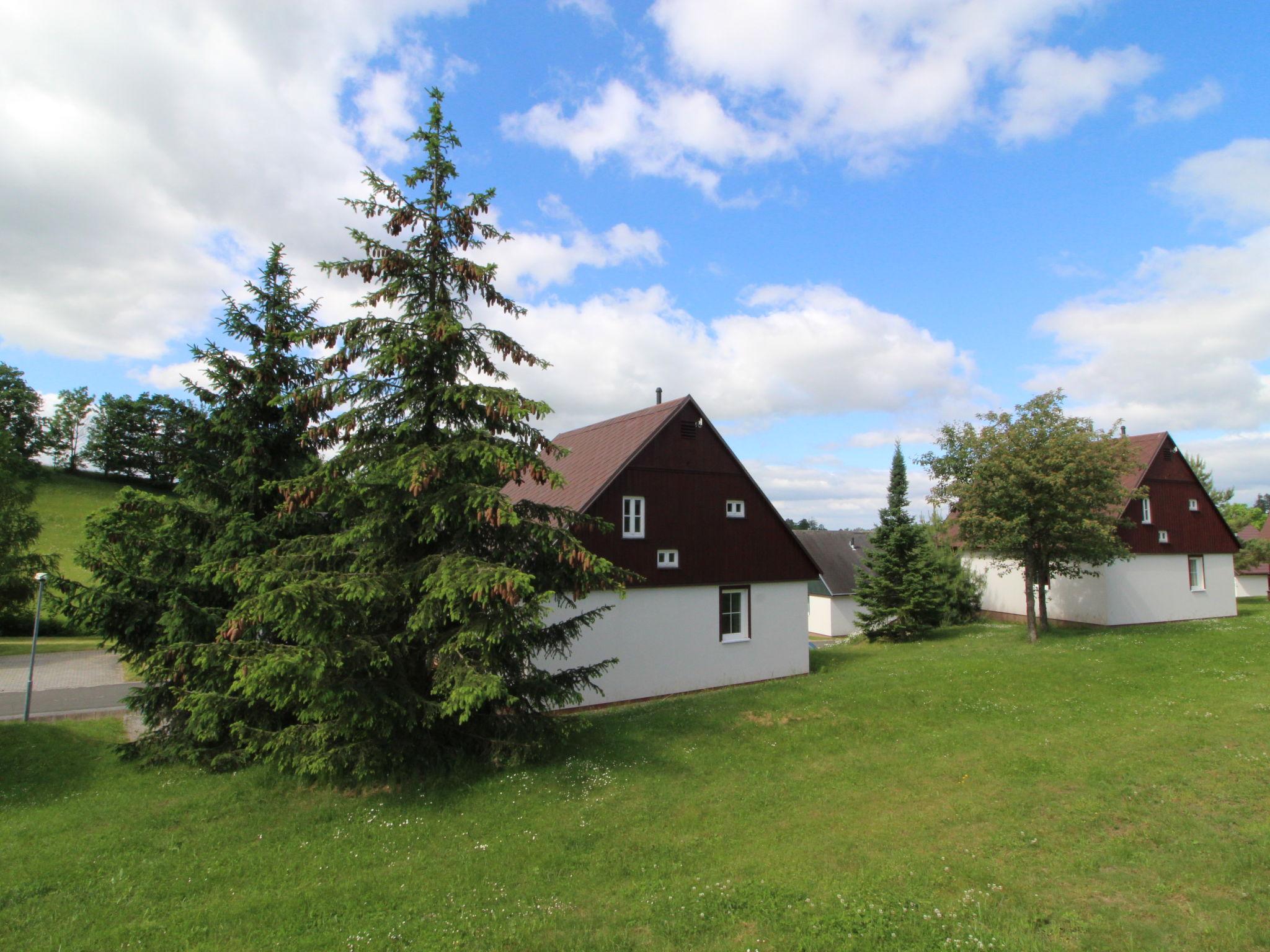 Foto 15 - Casa con 3 camere da letto a Černý Důl con piscina e giardino