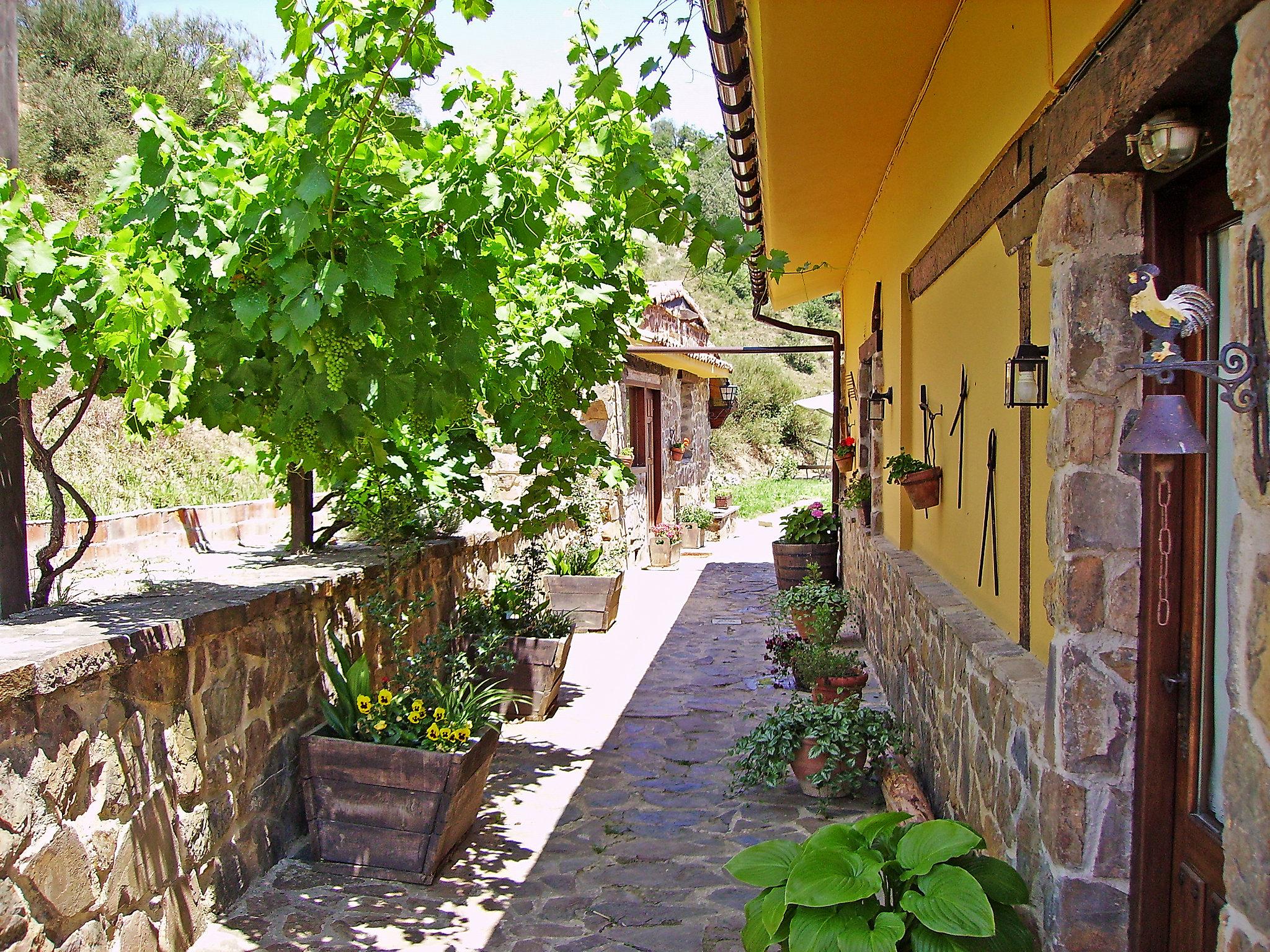 Photo 26 - 1 bedroom House in Cillorigo de Liébana with garden