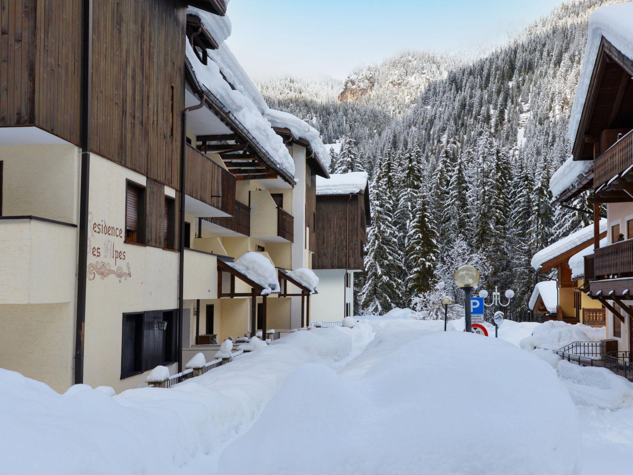 Foto 25 - Appartamento con 1 camera da letto a Campitello di Fassa