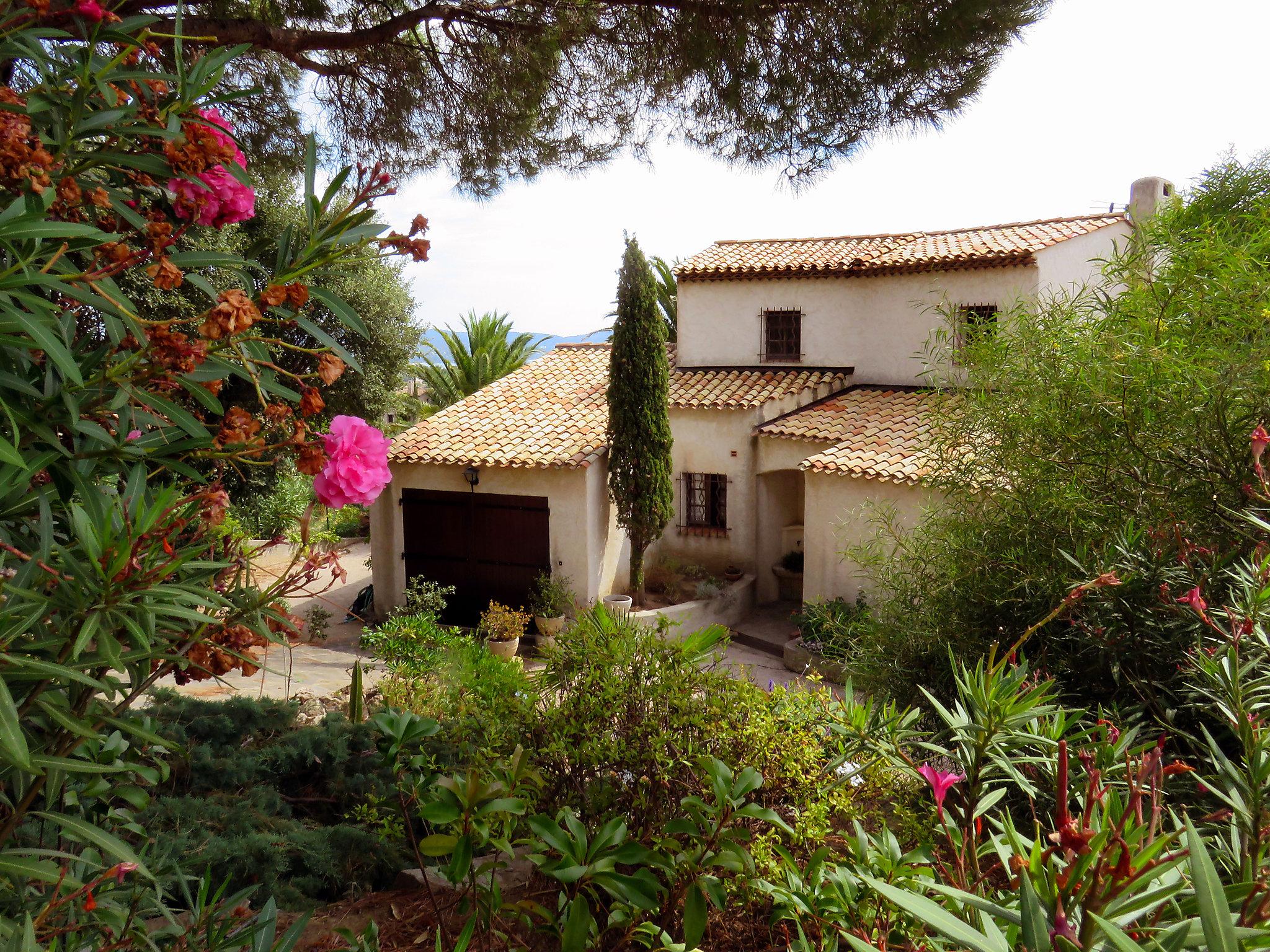 Foto 19 - Casa de 3 habitaciones en Cavalaire-sur-Mer con piscina privada y vistas al mar