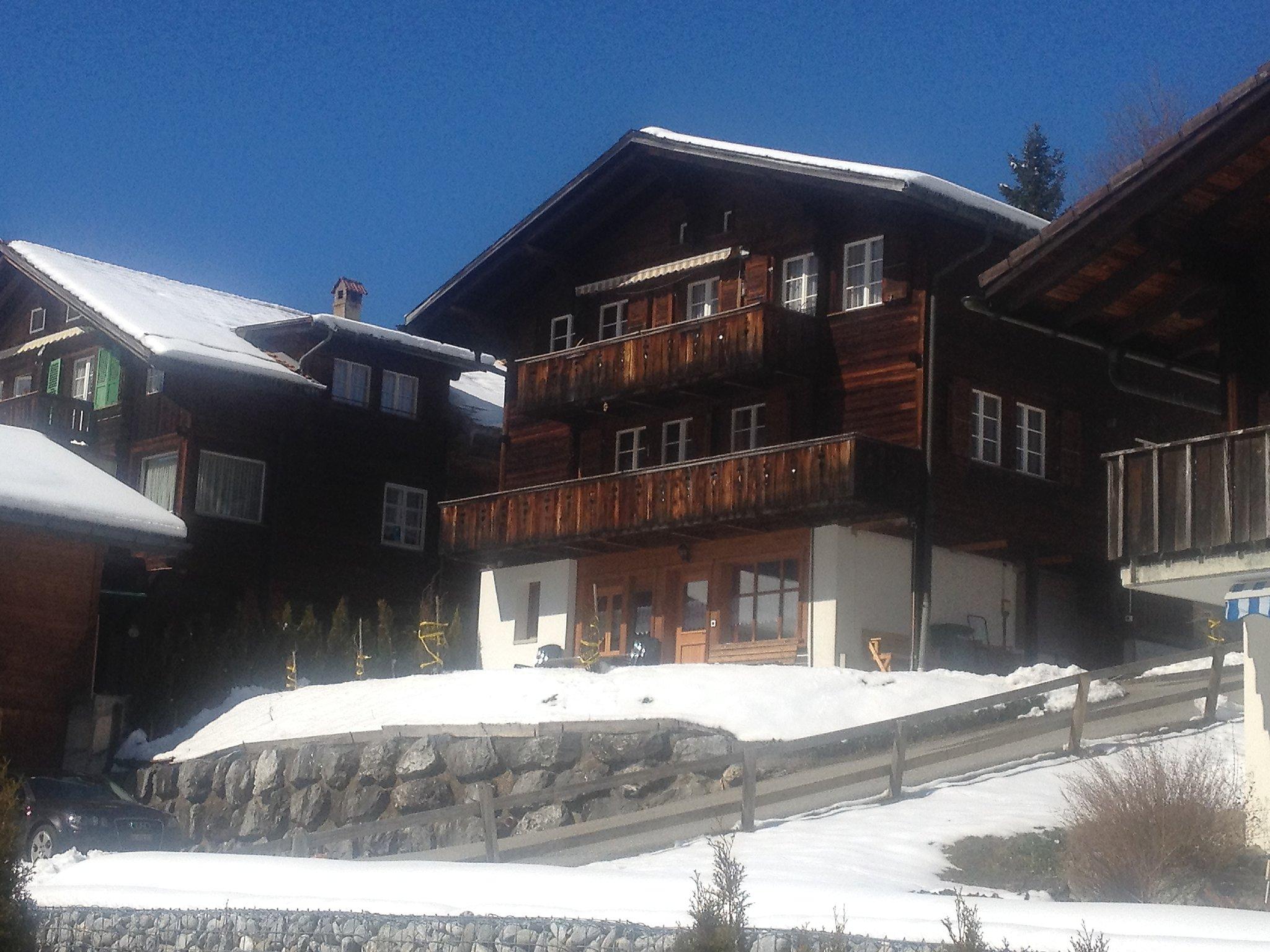 Foto 16 - Apartamento em Grindelwald com jardim e vista para a montanha