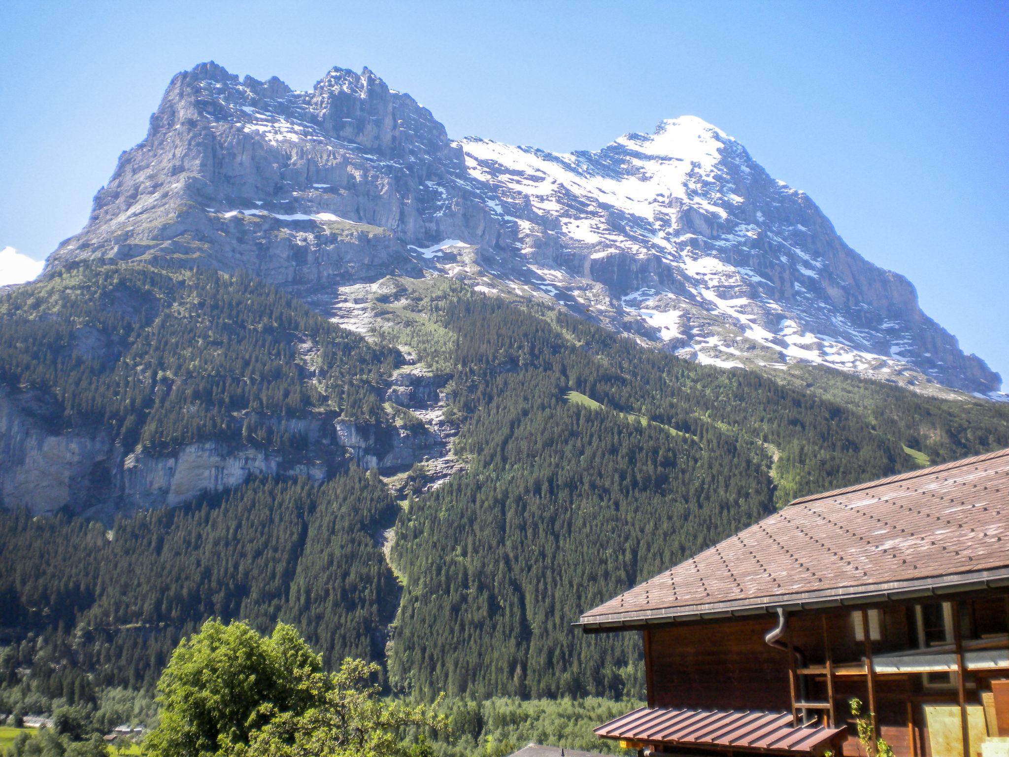 Foto 11 - Appartamento a Grindelwald con giardino