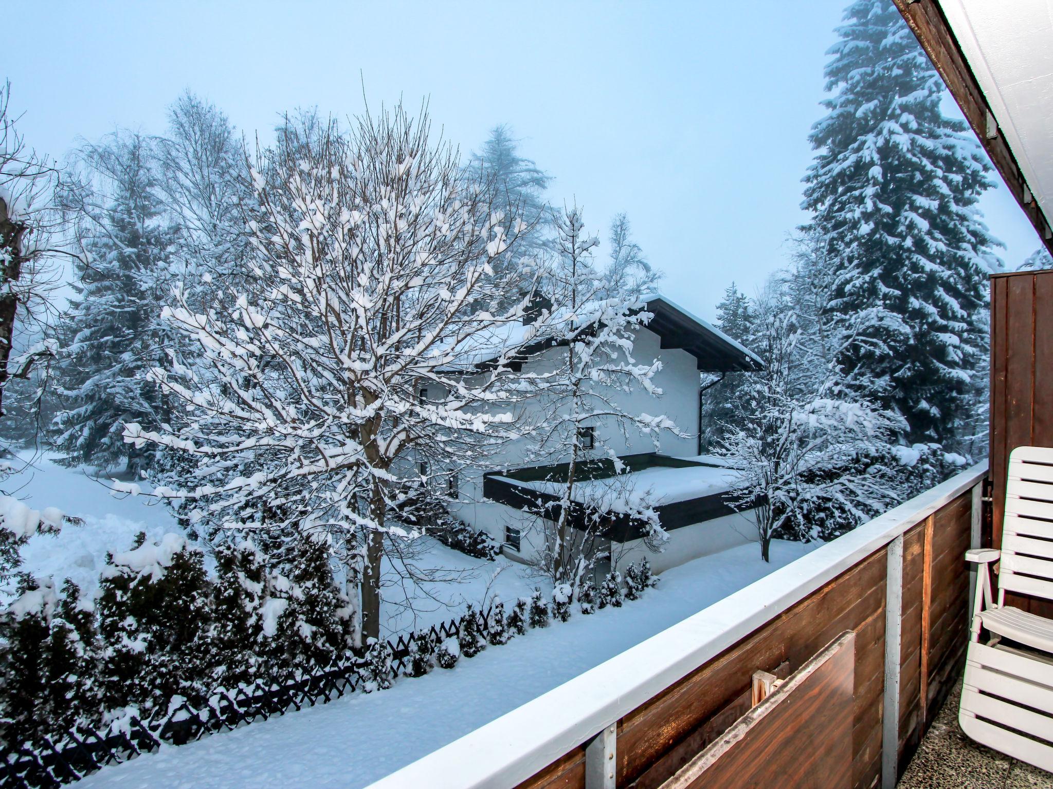 Foto 25 - Apartment in Seefeld in Tirol mit blick auf die berge