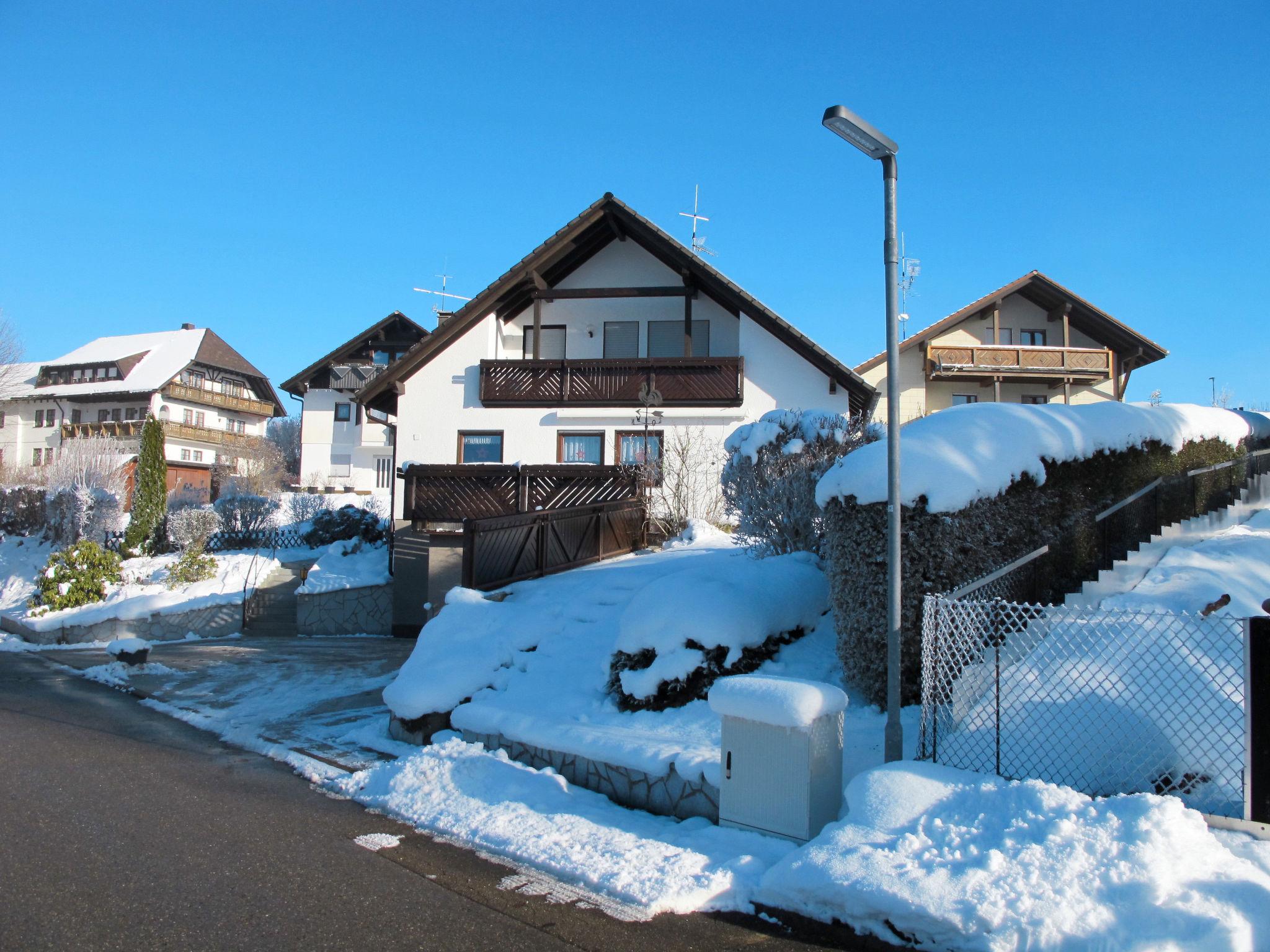 Photo 18 - 1 bedroom Apartment in Ühlingen-Birkendorf with garden and mountain view