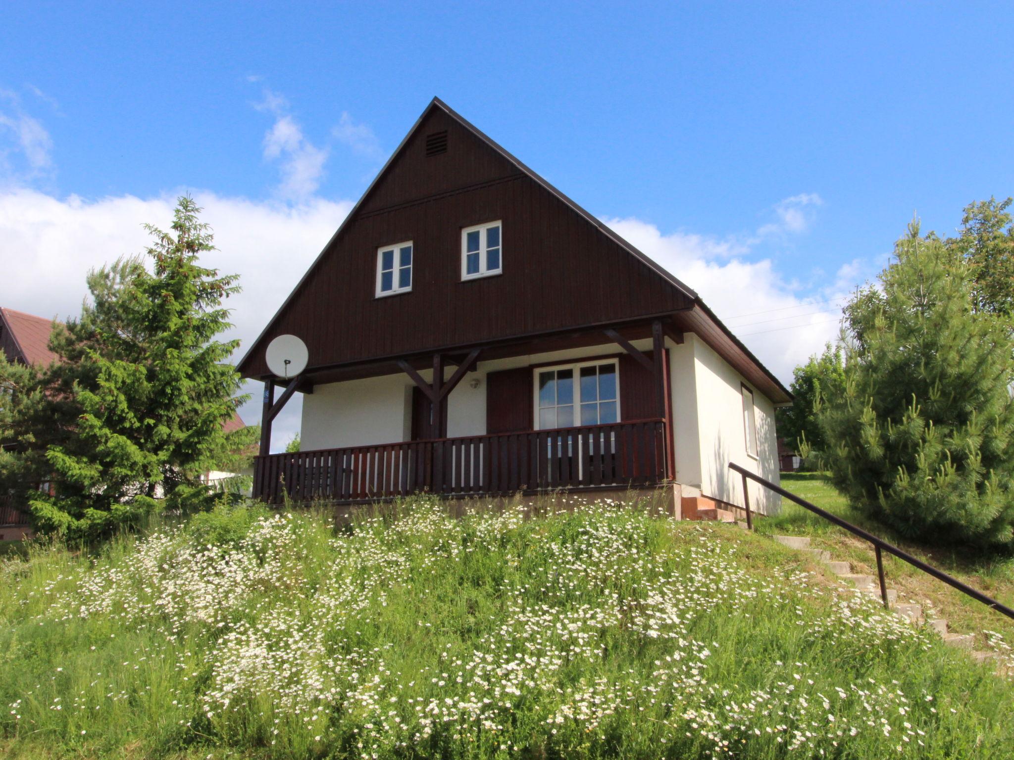 Photo 1 - Maison de 3 chambres à Černý Důl avec piscine et jardin