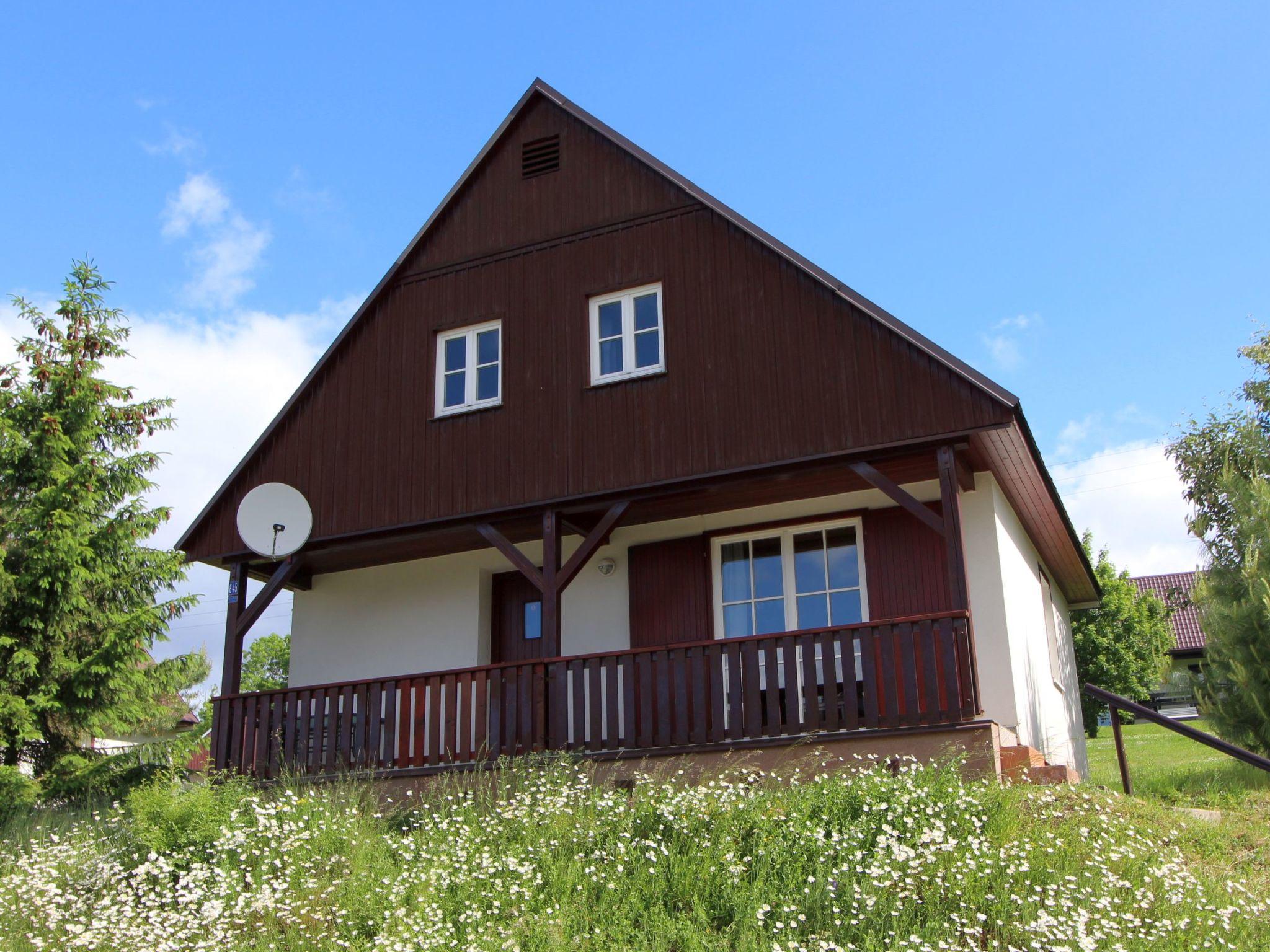 Foto 18 - Casa con 3 camere da letto a Černý Důl con piscina e giardino