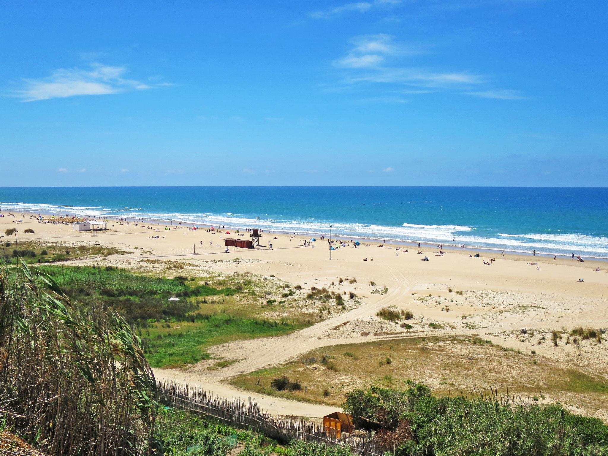 Foto 49 - Haus mit 4 Schlafzimmern in Conil de la Frontera mit schwimmbad und garten