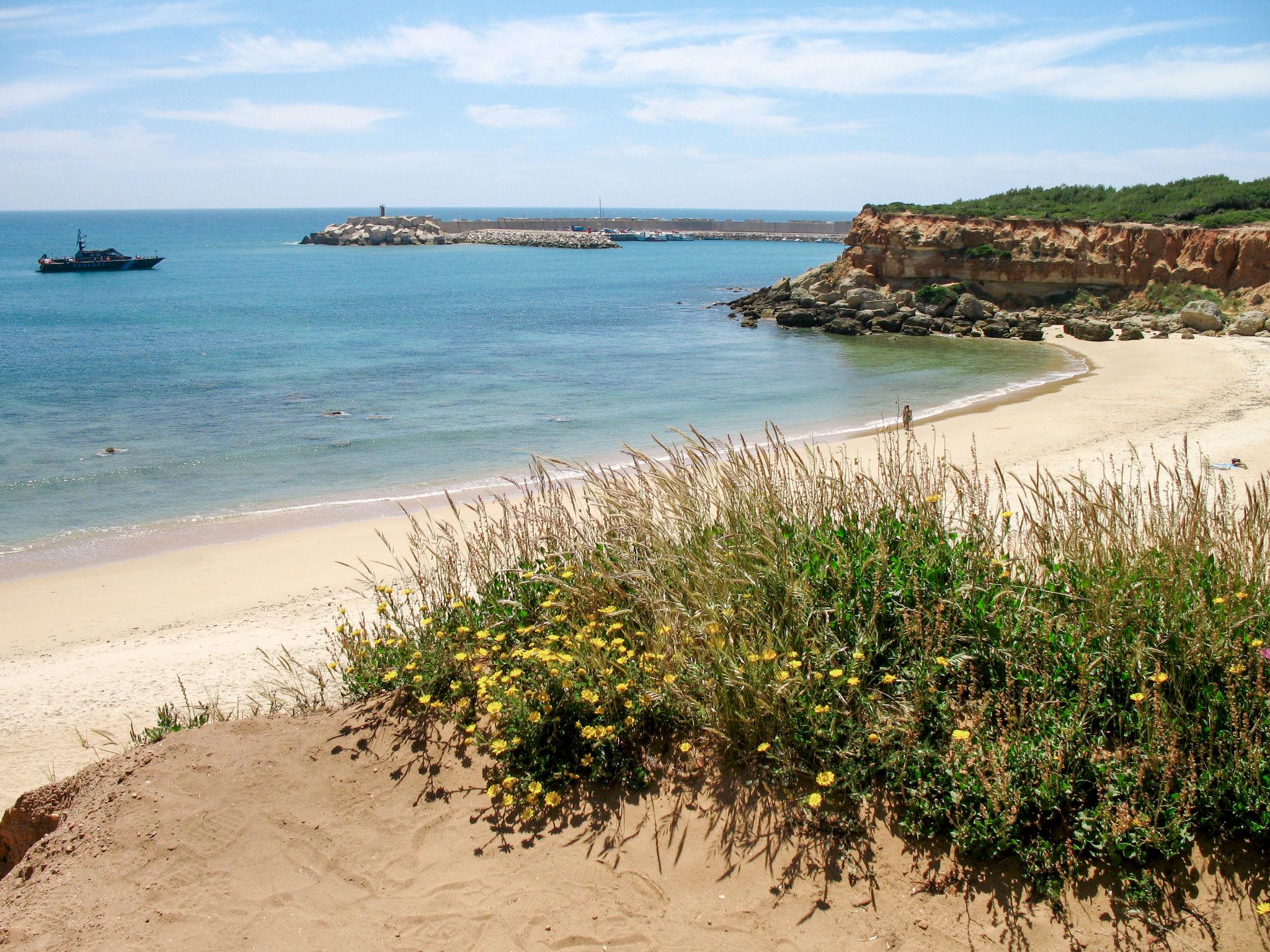 Foto 46 - Casa de 4 quartos em Conil de la Frontera com piscina e jardim