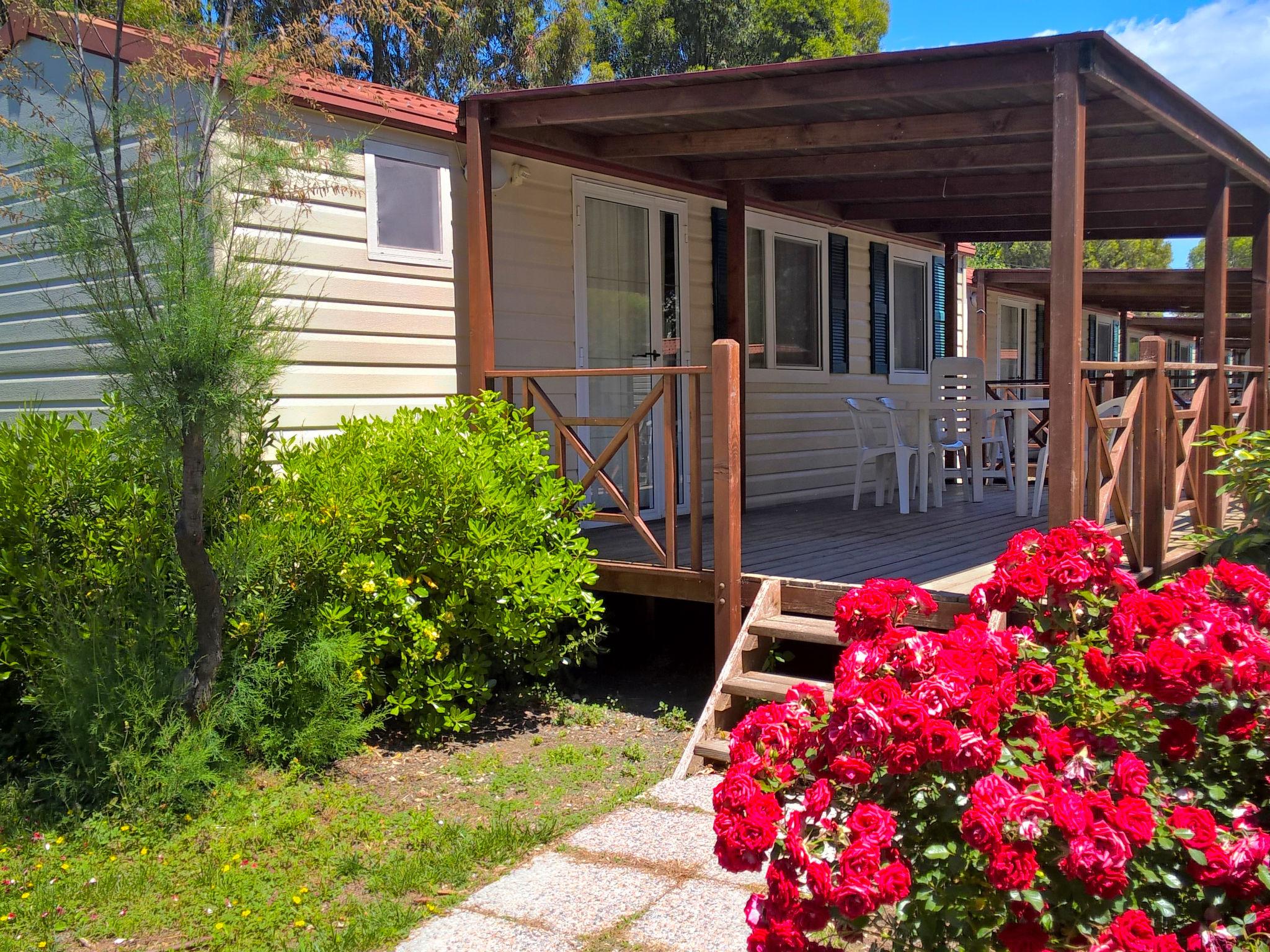 Photo 3 - Maison de 2 chambres à Cecina avec piscine et jardin