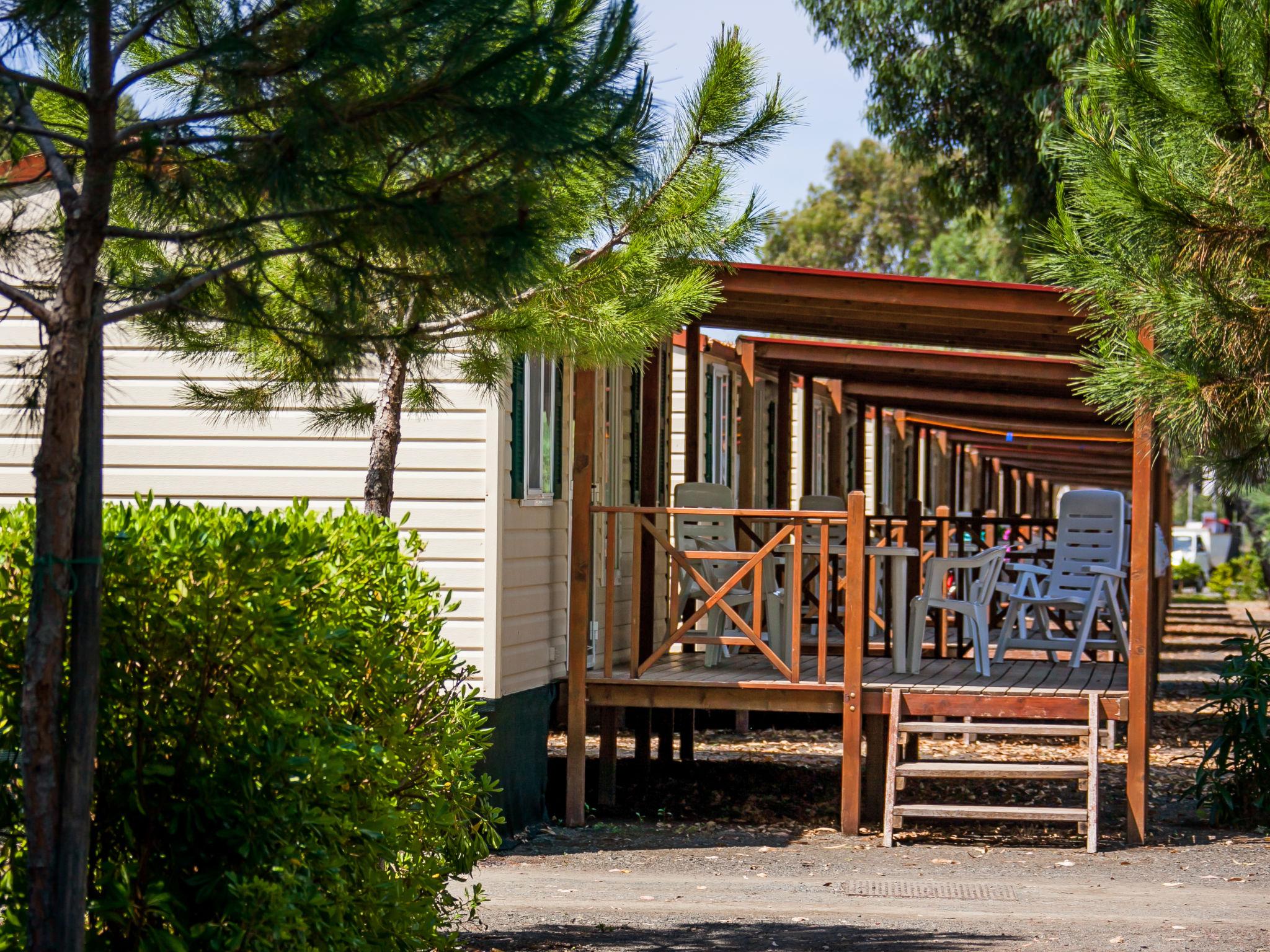 Photo 8 - Maison de 2 chambres à Cecina avec piscine et jardin