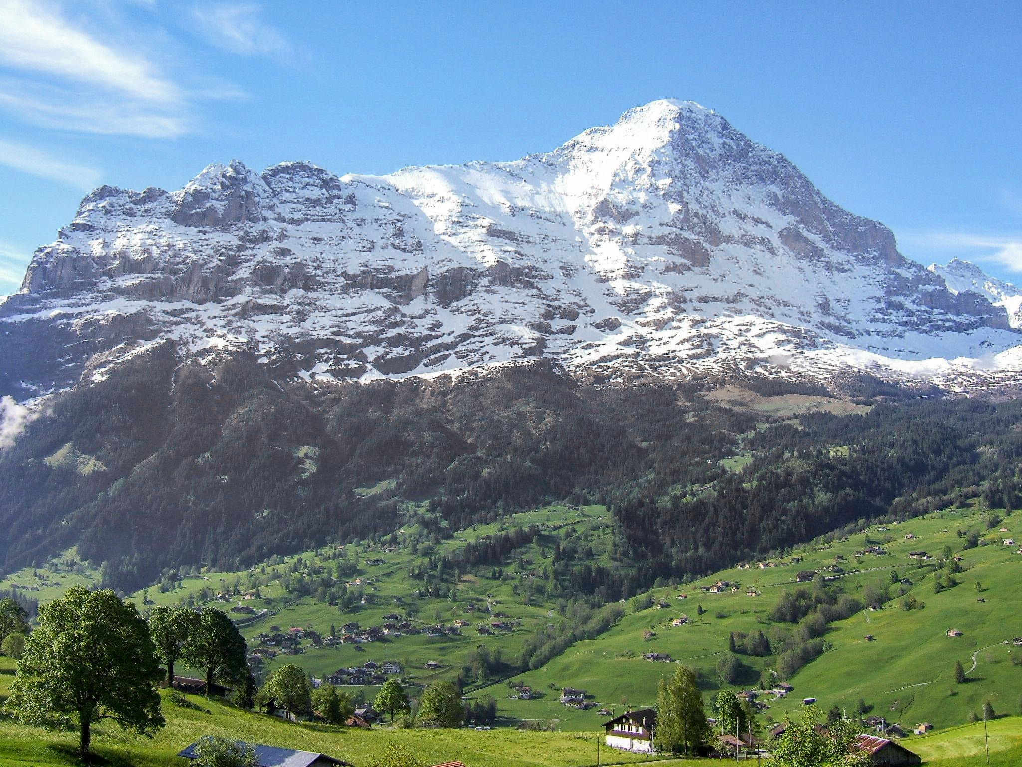 Foto 30 - Casa de 3 habitaciones en Grindelwald con jardín