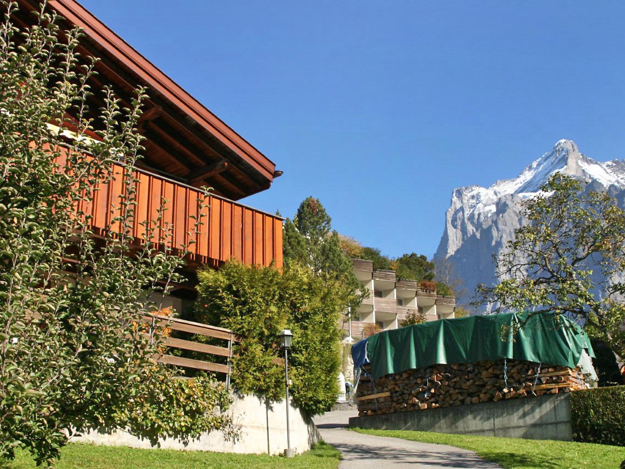 Foto 31 - Haus mit 3 Schlafzimmern in Grindelwald mit blick auf die berge