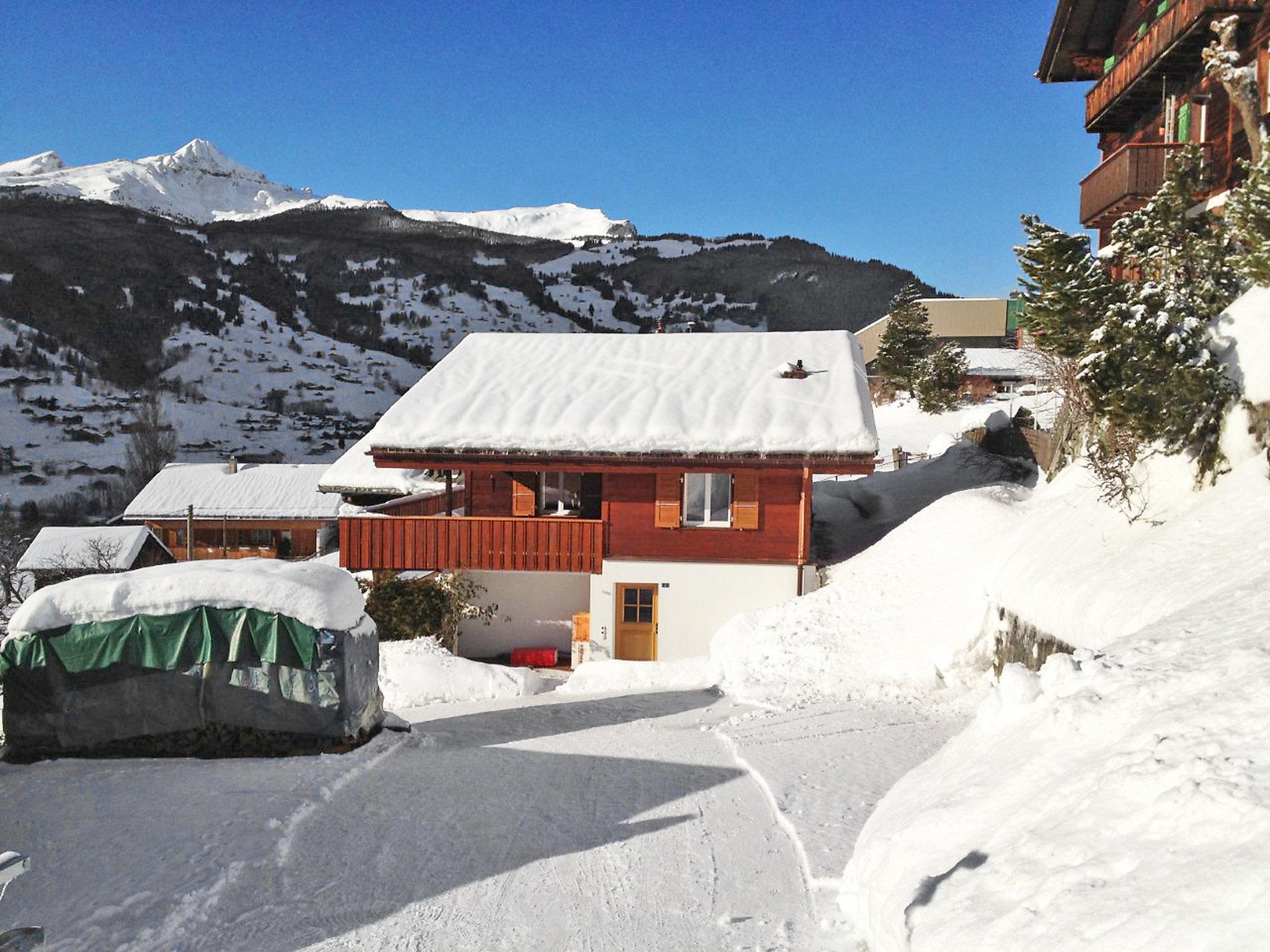 Foto 33 - Casa con 3 camere da letto a Grindelwald con giardino