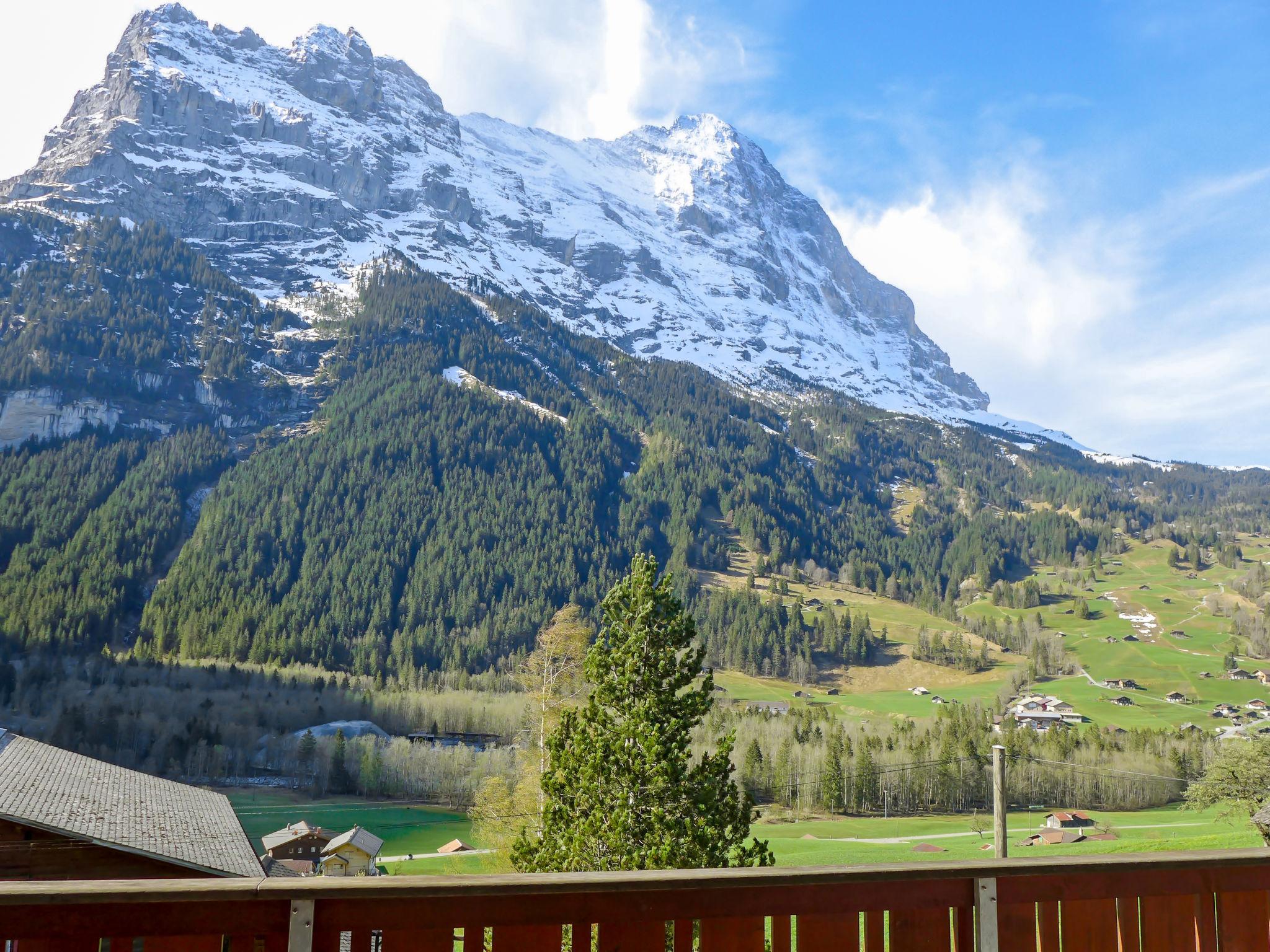 Foto 28 - Haus mit 3 Schlafzimmern in Grindelwald mit blick auf die berge