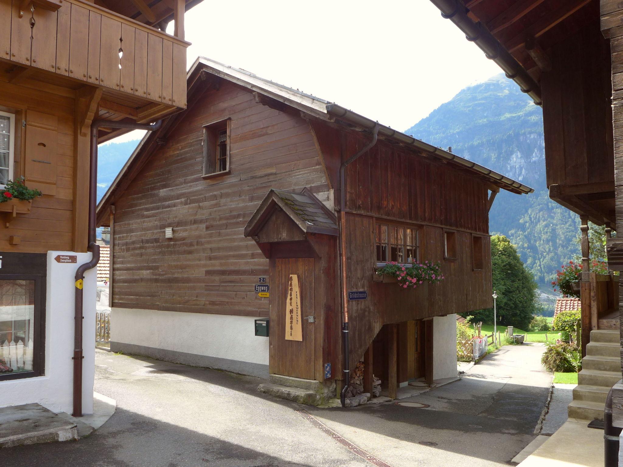 Foto 17 - Casa con 1 camera da letto a Brienzwiler con vista sulle montagne