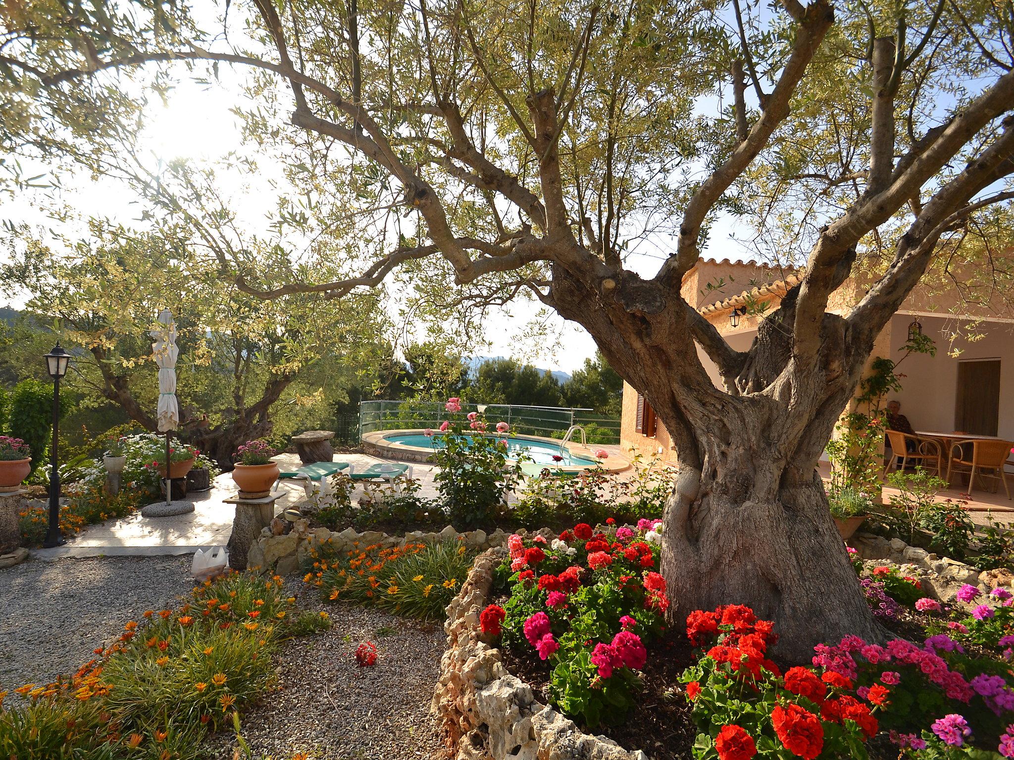 Photo 19 - Maison de 3 chambres à Alcúdia avec piscine privée et jardin