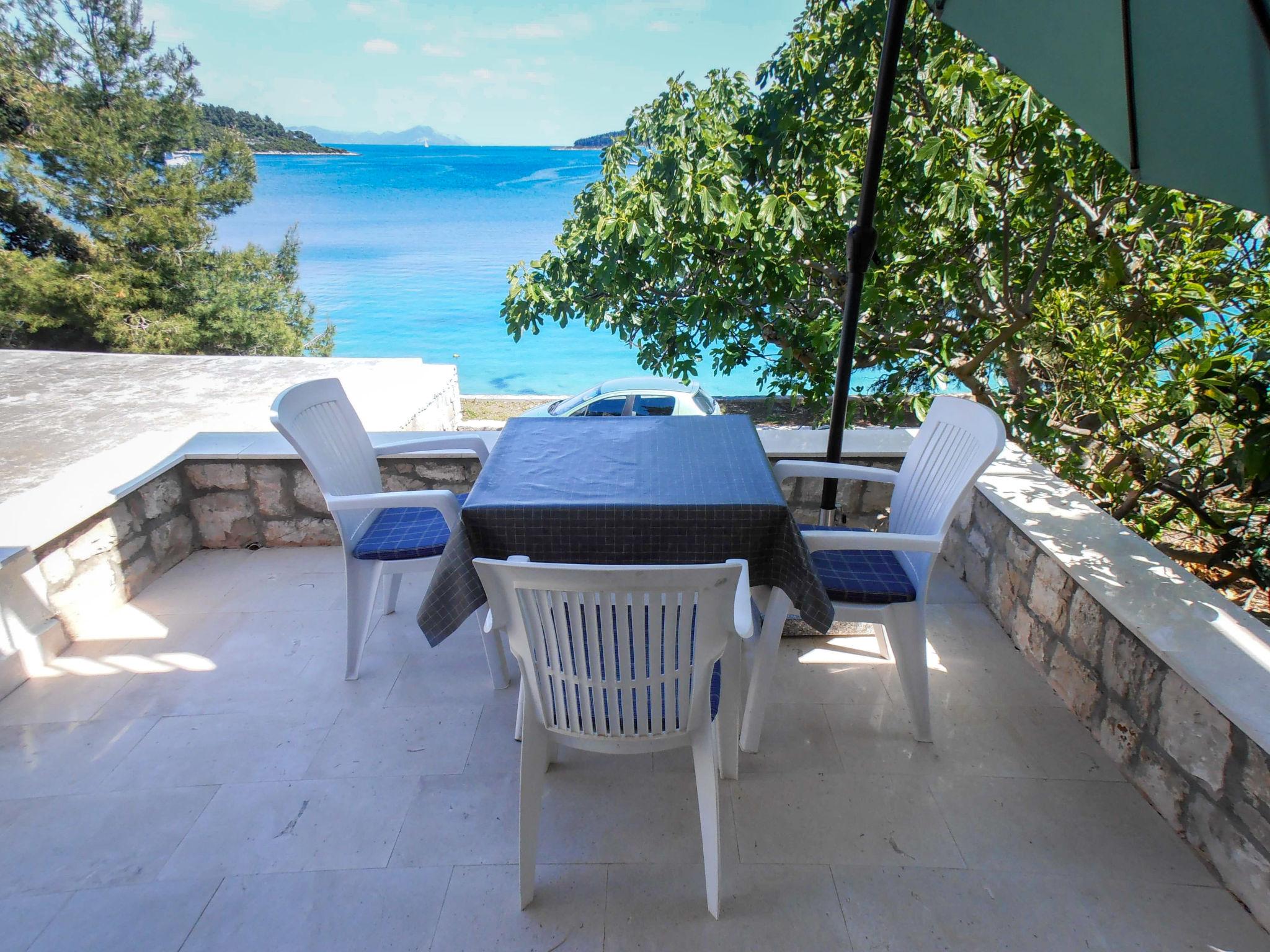 Photo 2 - Maison de 3 chambres à Lumbarda avec terrasse et vues à la mer