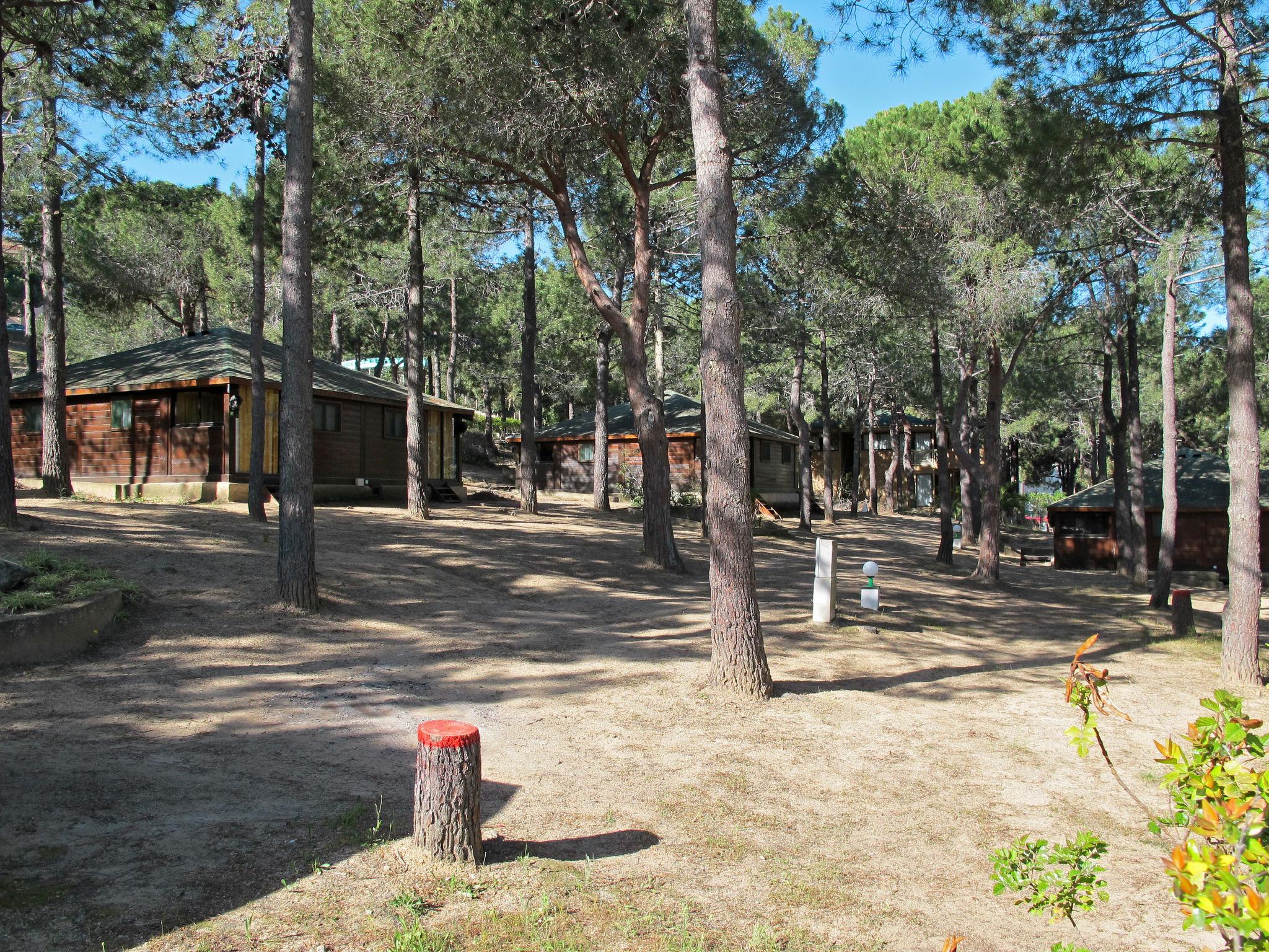 Foto 10 - Casa con 2 camere da letto a Calvi con piscina e giardino