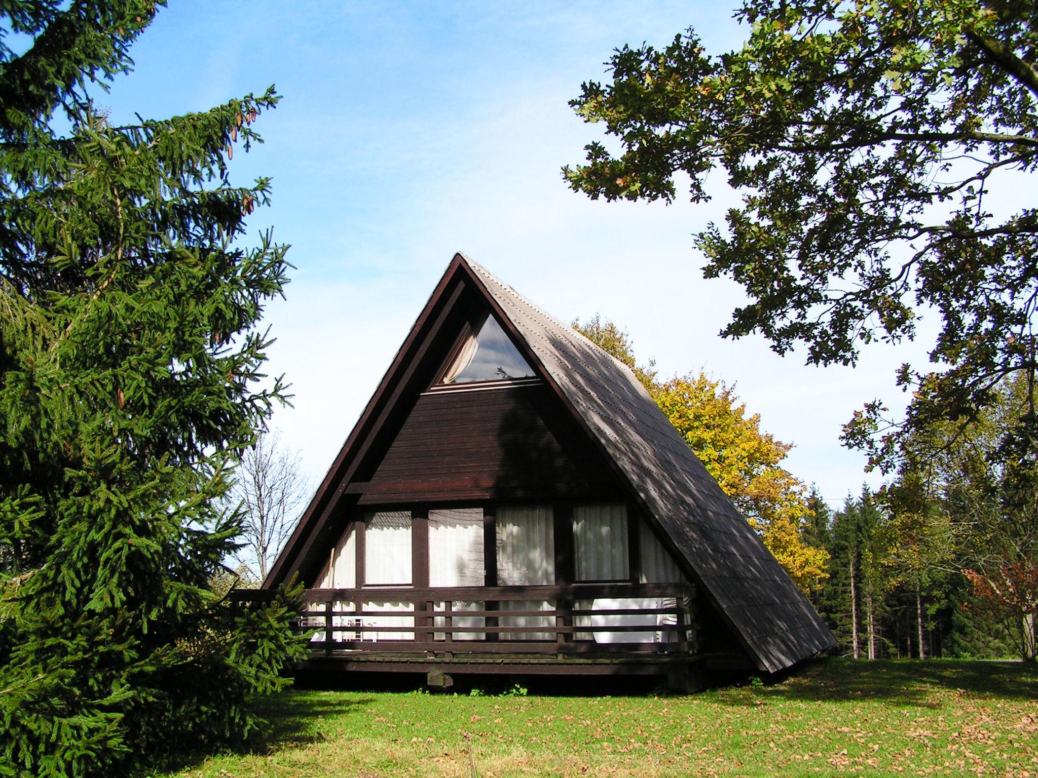 Photo 1 - Maison de 3 chambres à Siegsdorf avec vues sur la montagne