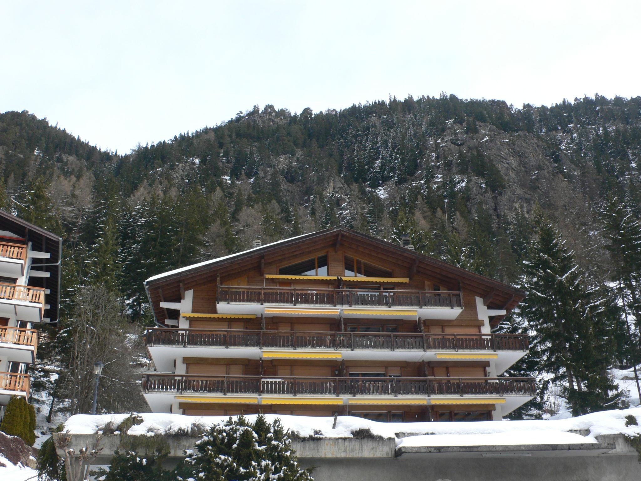 Photo 15 - 1 bedroom Apartment in Orsières with mountain view