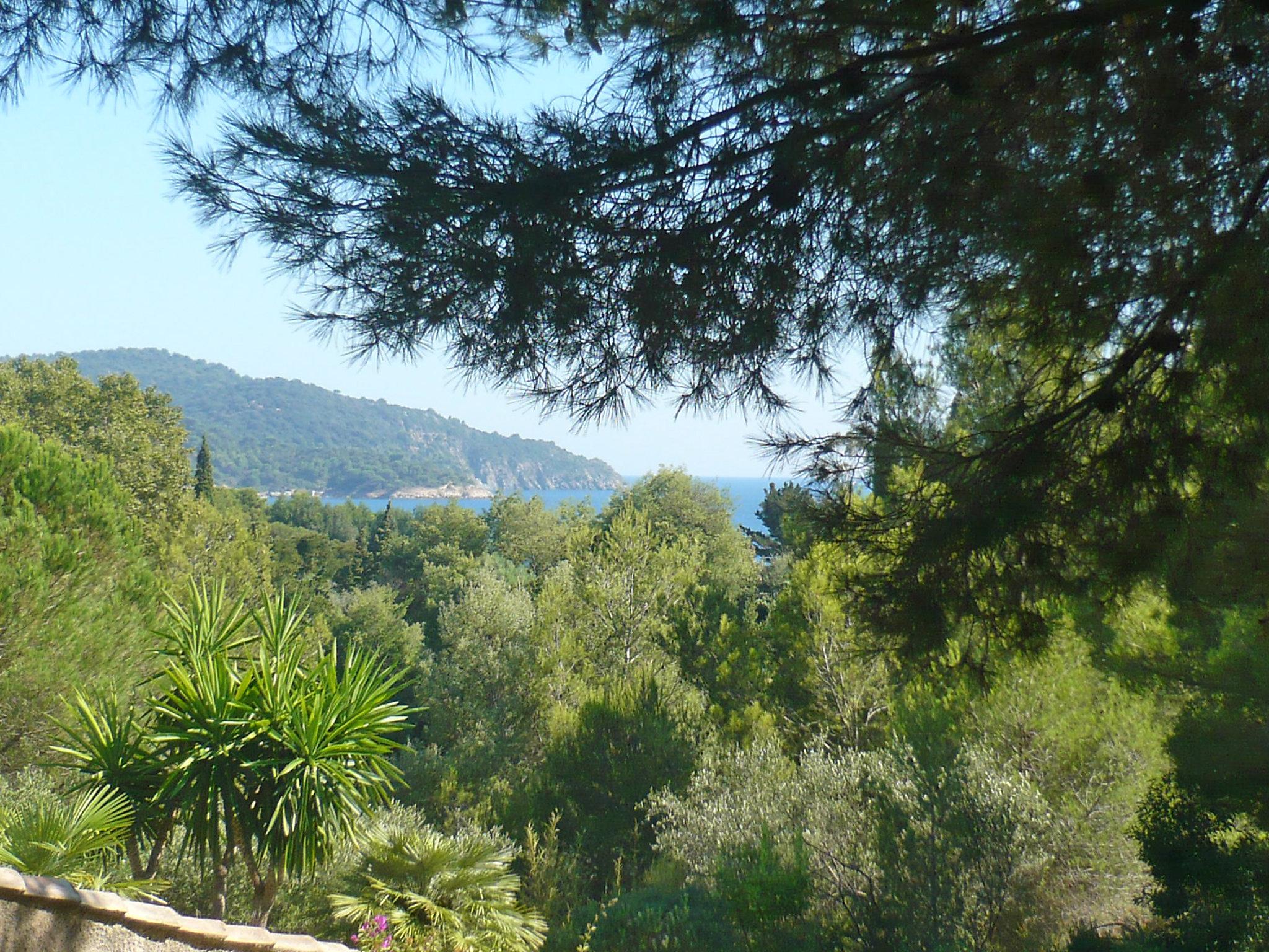 Photo 26 - Maison de 4 chambres à La Croix-Valmer avec piscine privée et vues à la mer