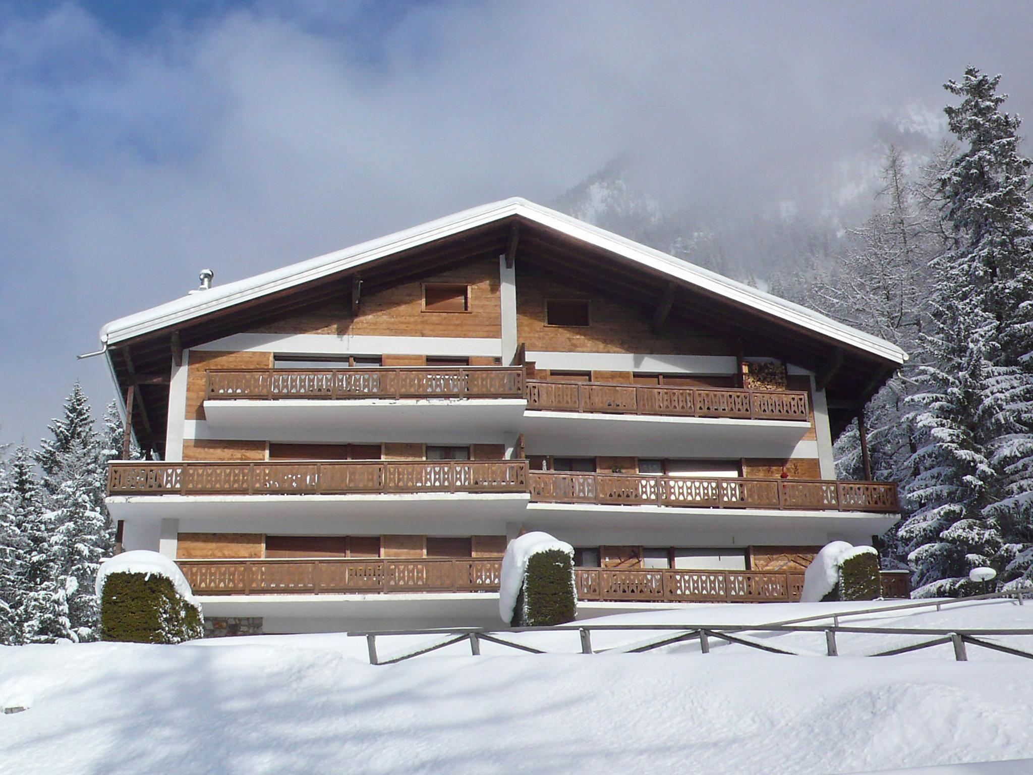 Foto 14 - Apartamento de 3 habitaciones en Orsières con vistas a la montaña