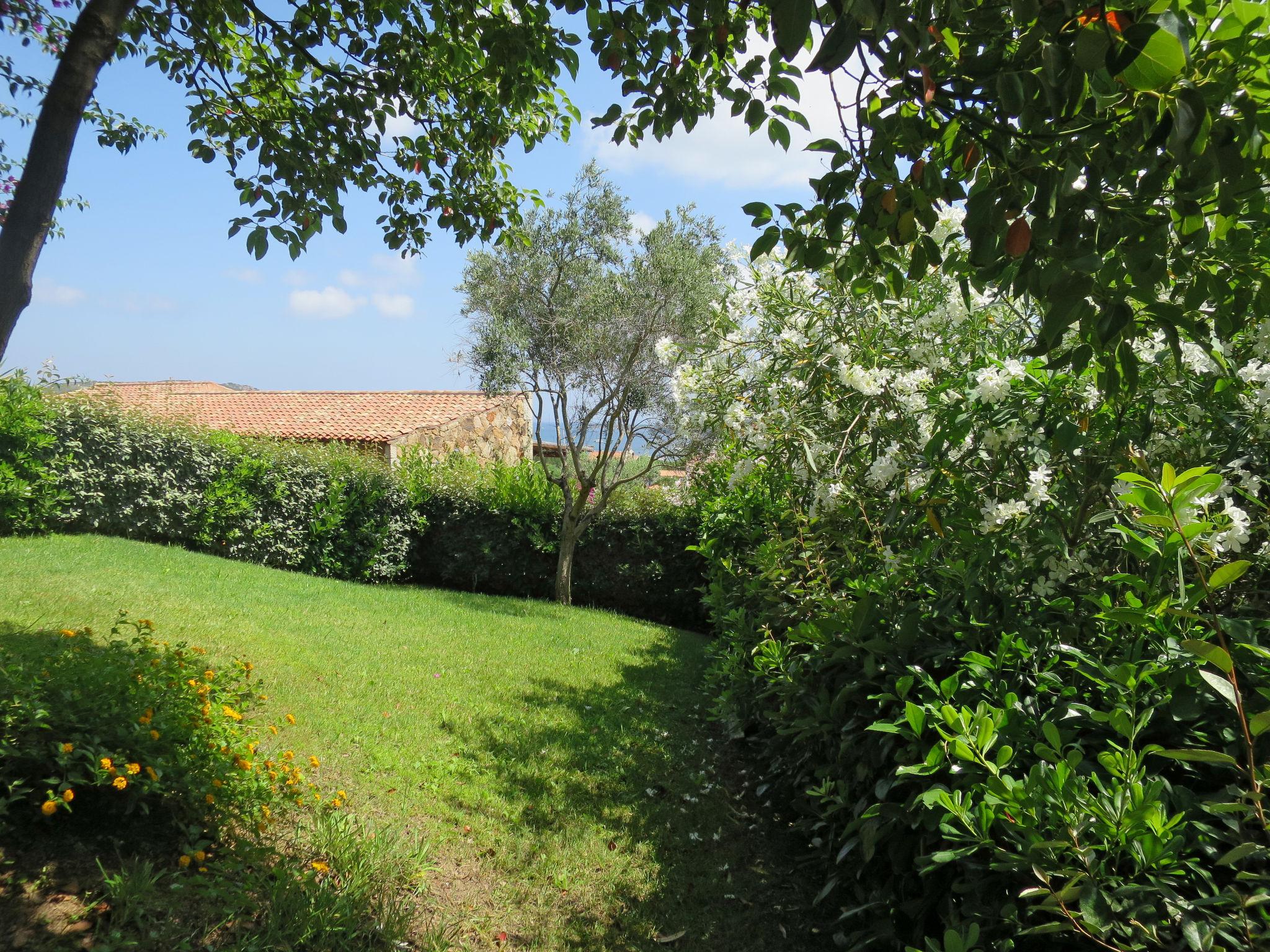 Foto 33 - Appartamento con 2 camere da letto a Santa Teresa Gallura con piscina e giardino