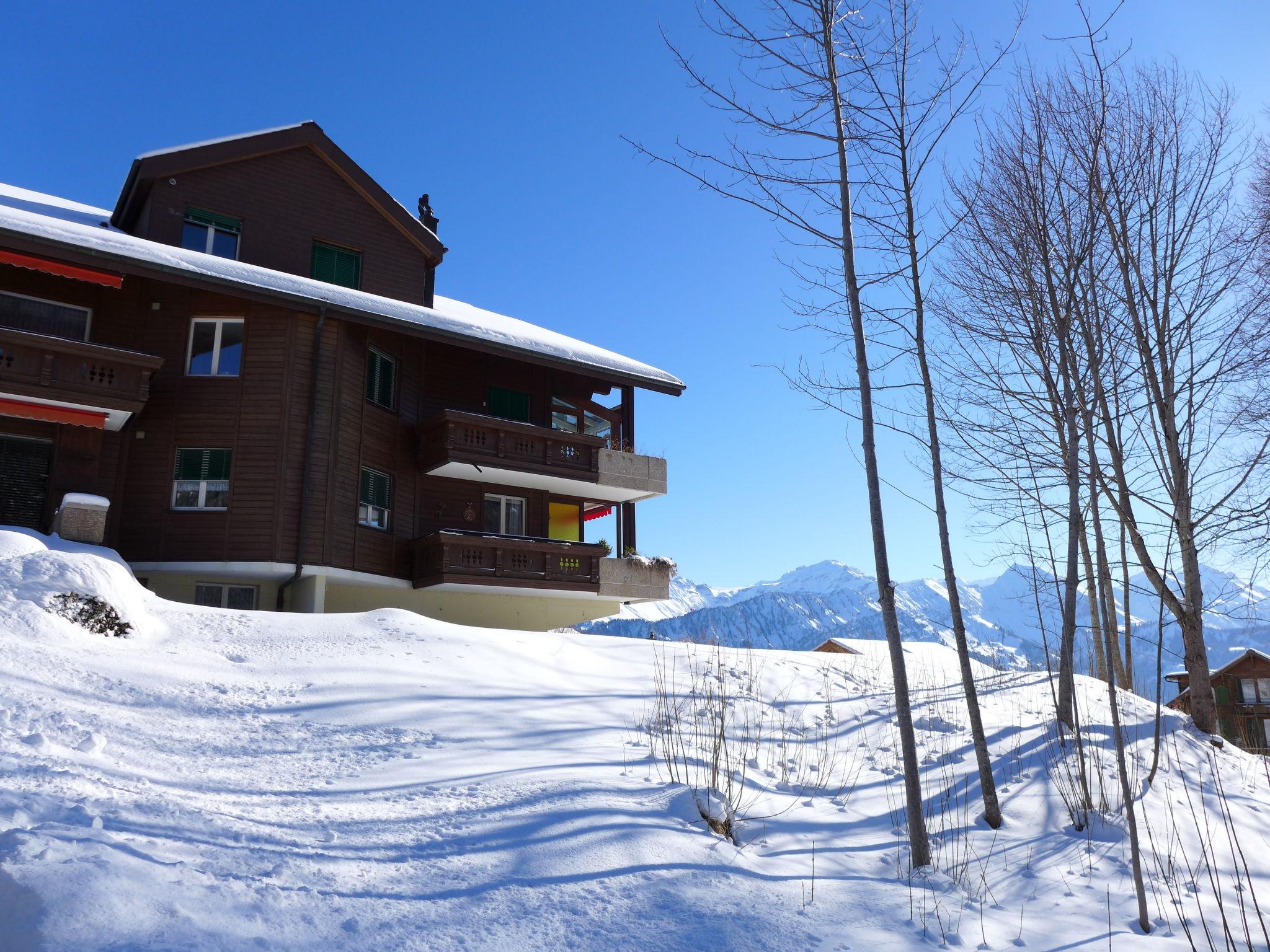 Foto 23 - Apartamento de 2 habitaciones en Beatenberg con vistas a la montaña