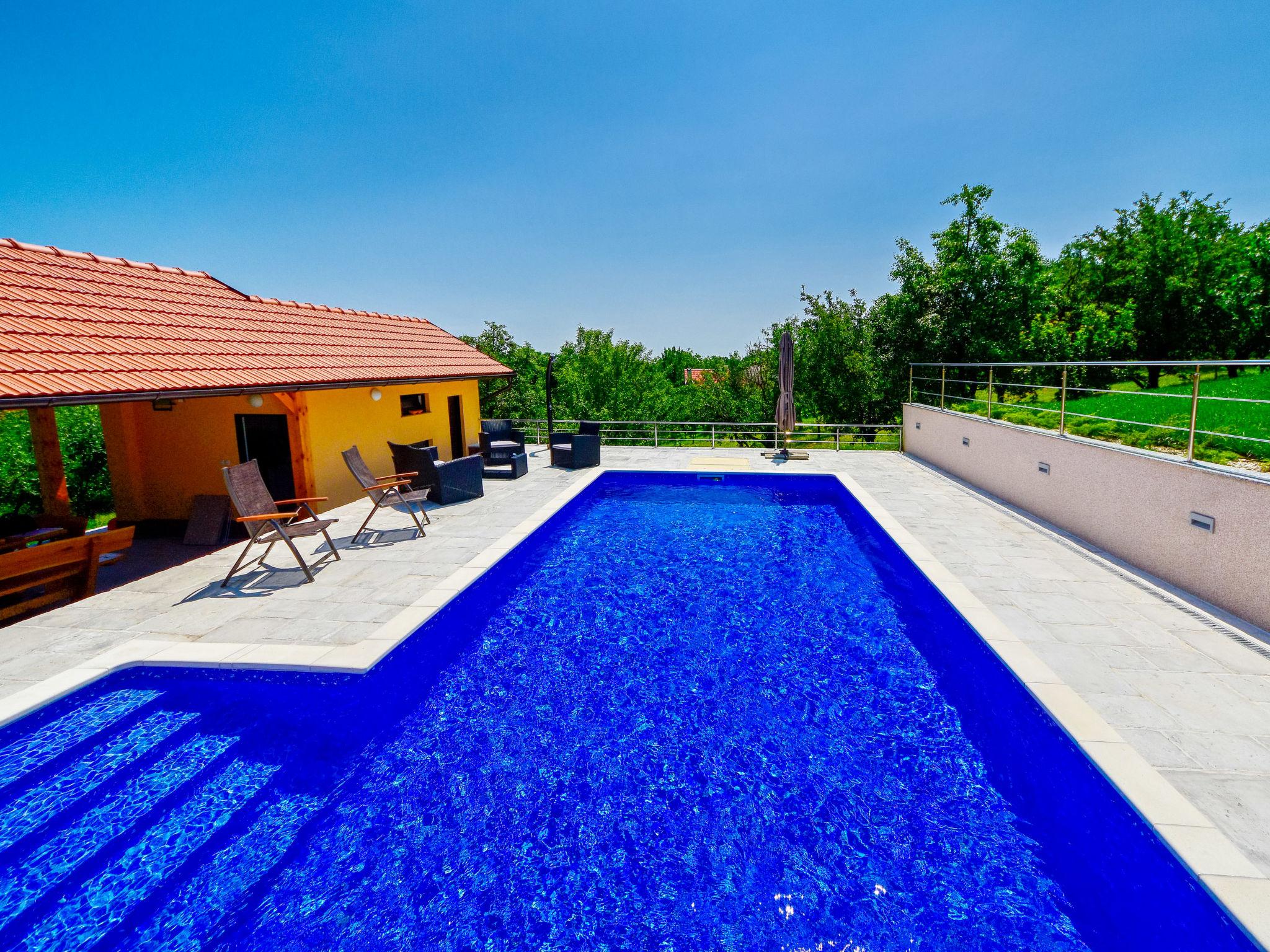 Foto 2 - Casa de 2 habitaciones en Brckovljani con piscina privada y terraza
