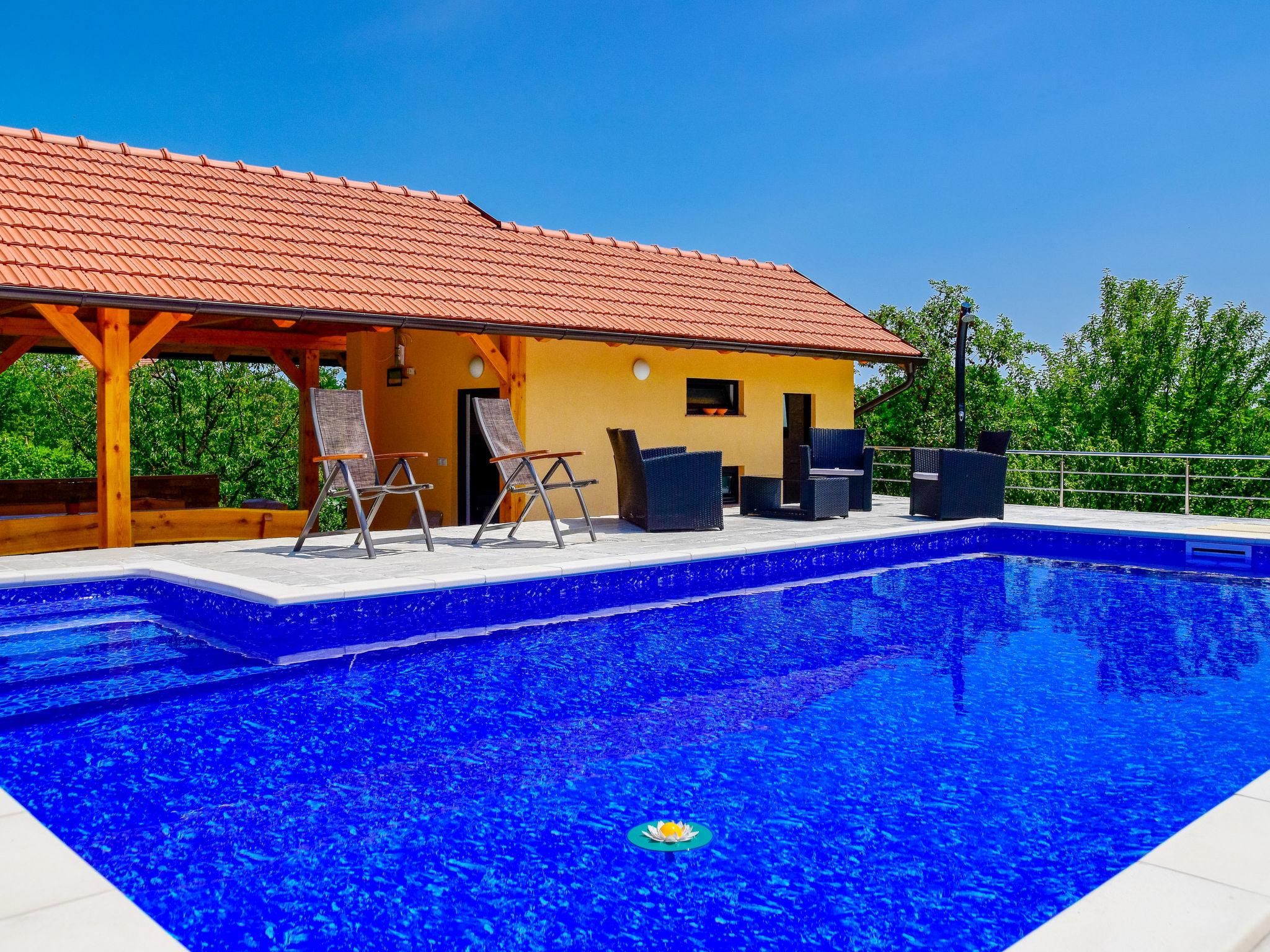 Foto 6 - Casa de 2 quartos em Brckovljani com piscina privada e jardim