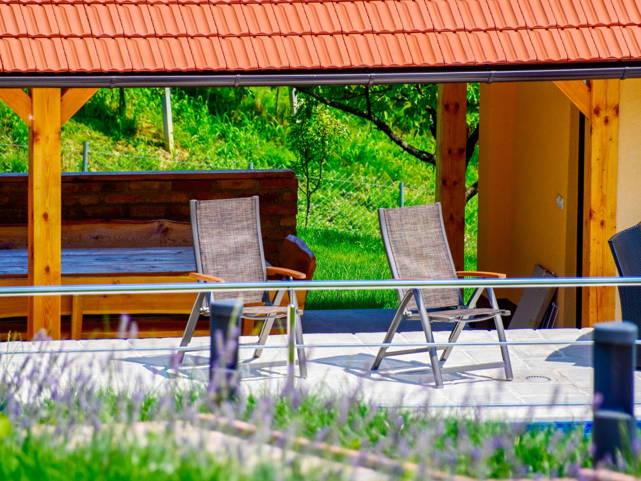 Foto 23 - Casa de 2 quartos em Brckovljani com piscina privada e terraço