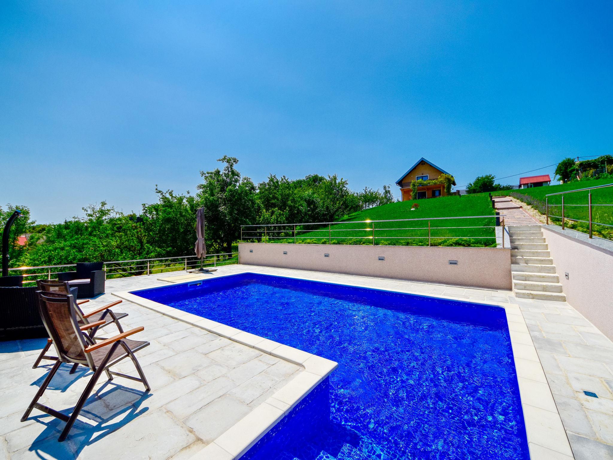 Foto 1 - Casa de 2 quartos em Brckovljani com piscina privada e terraço