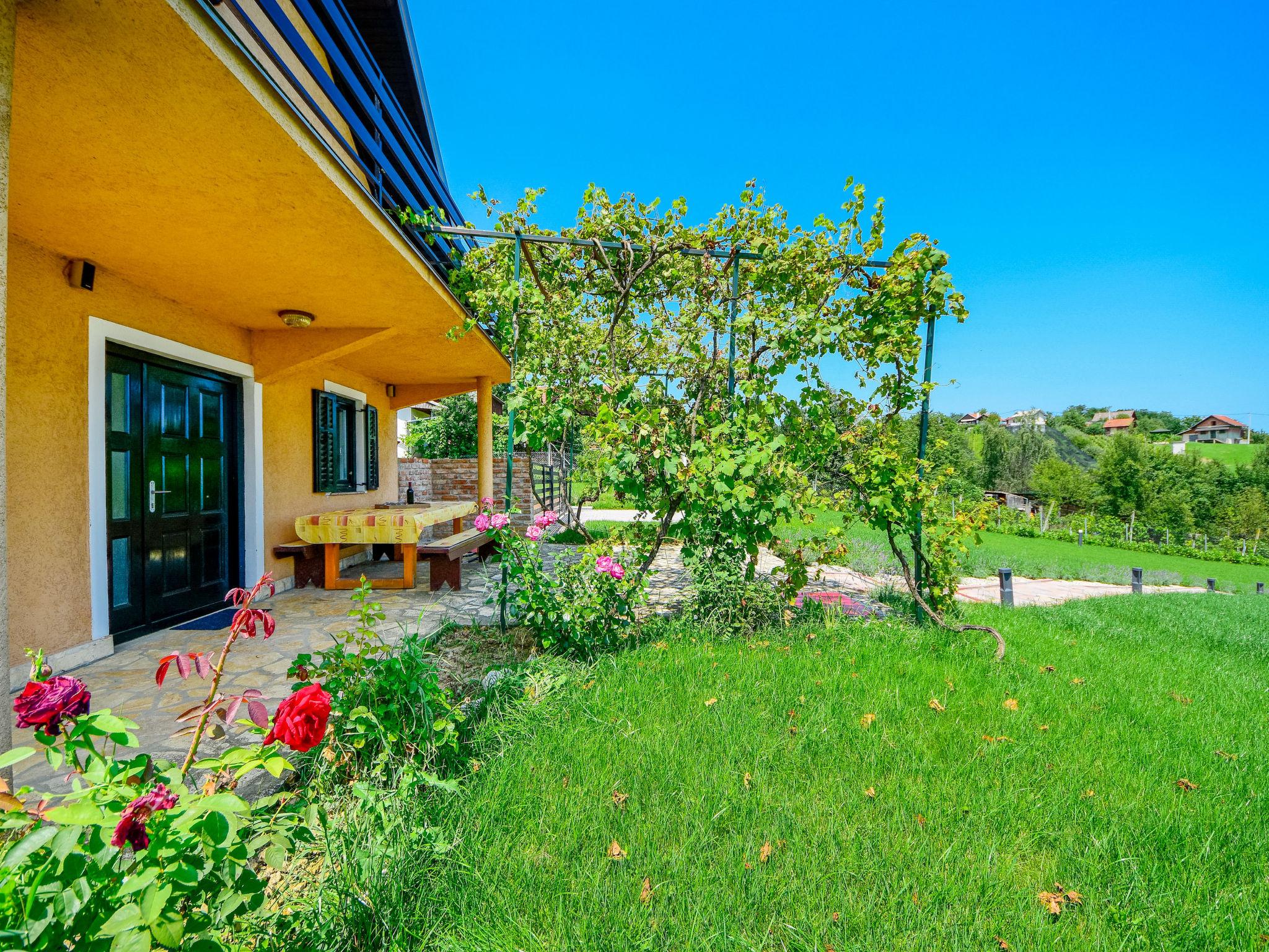 Foto 11 - Casa con 2 camere da letto a Brckovljani con piscina privata e terrazza