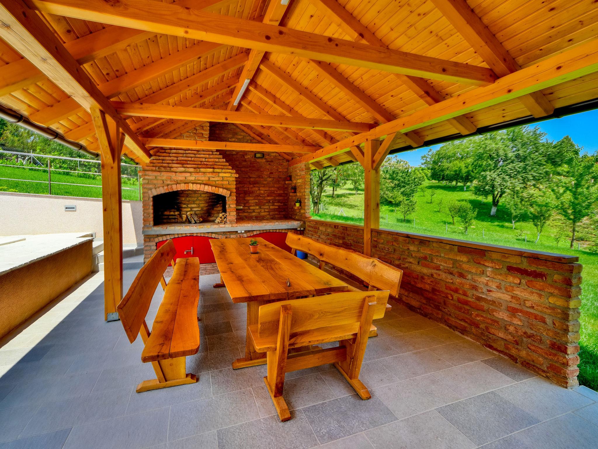 Foto 4 - Casa de 2 quartos em Brckovljani com piscina privada e terraço