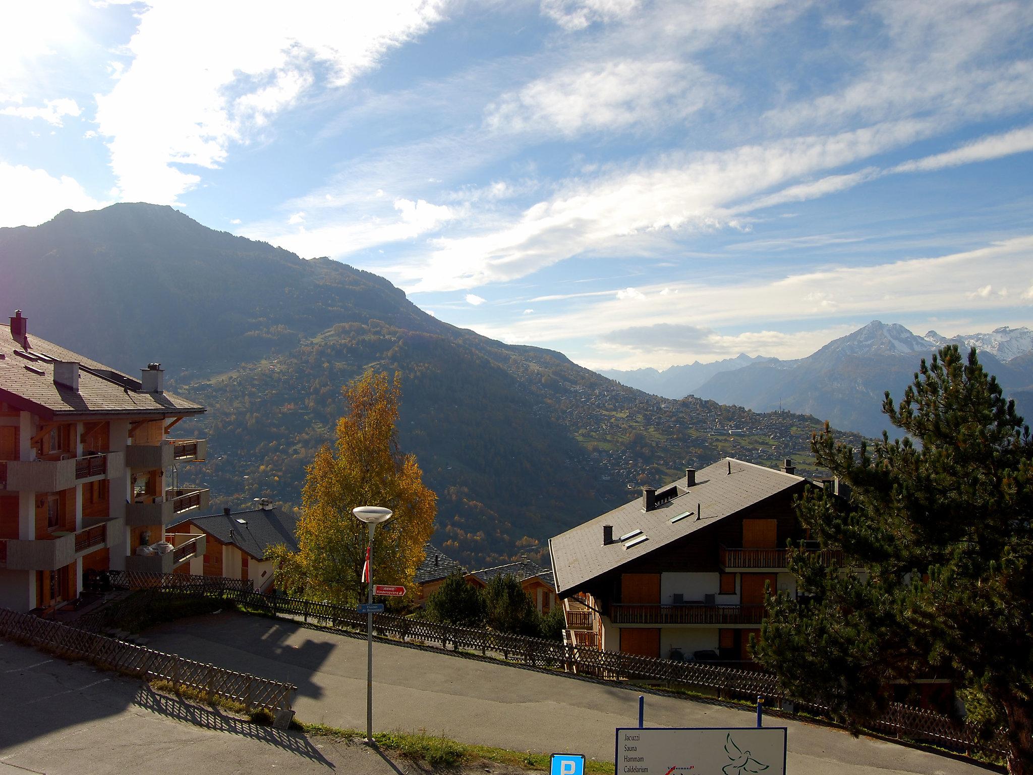 Foto 11 - Appartamento con 1 camera da letto a Veysonnaz con vista sulle montagne