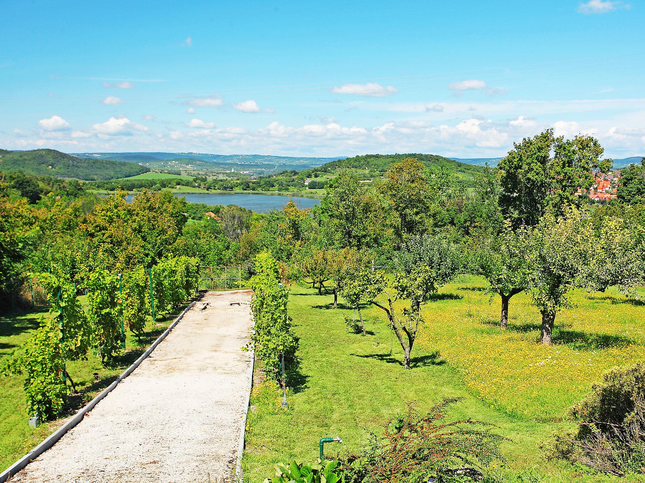 Photo 15 - 2 bedroom House in Tihany with garden and mountain view