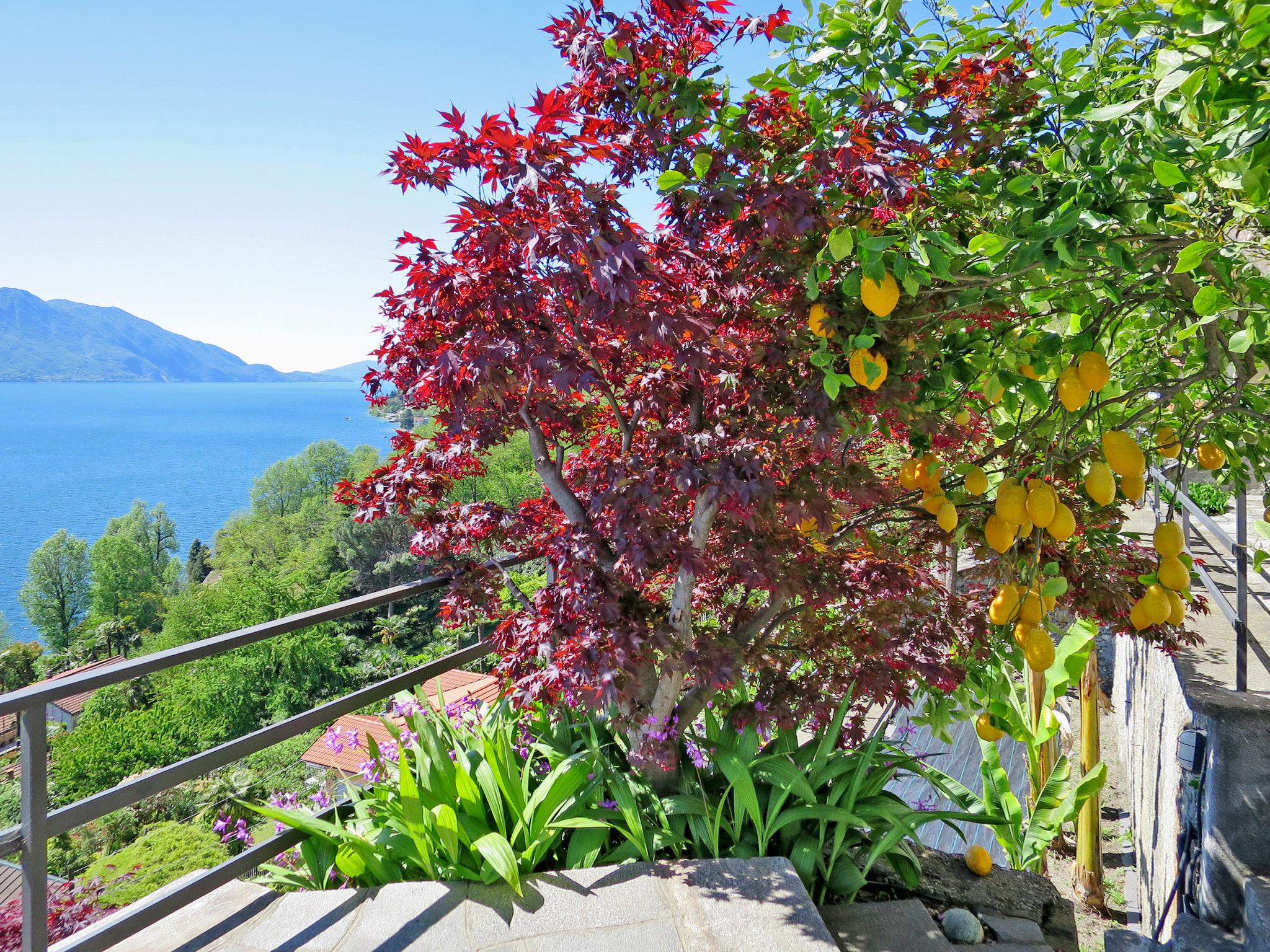 Foto 2 - Appartamento con 2 camere da letto a Cannero Riviera con terrazza e vista sulle montagne