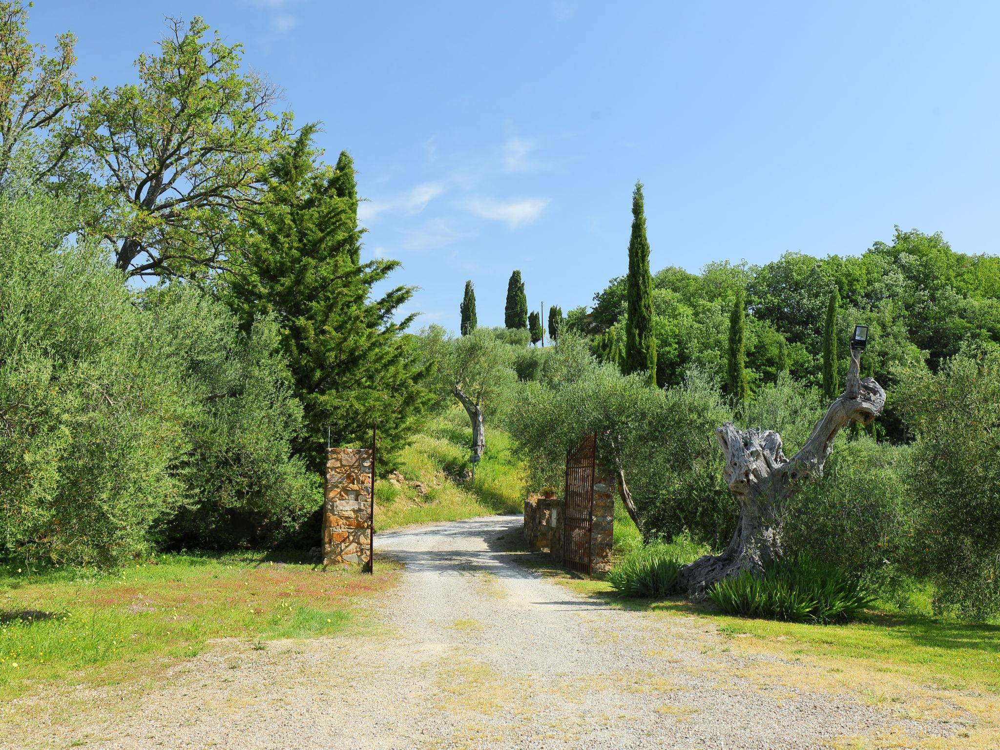 Photo 39 - Maison de 6 chambres à Seggiano avec piscine privée et jardin