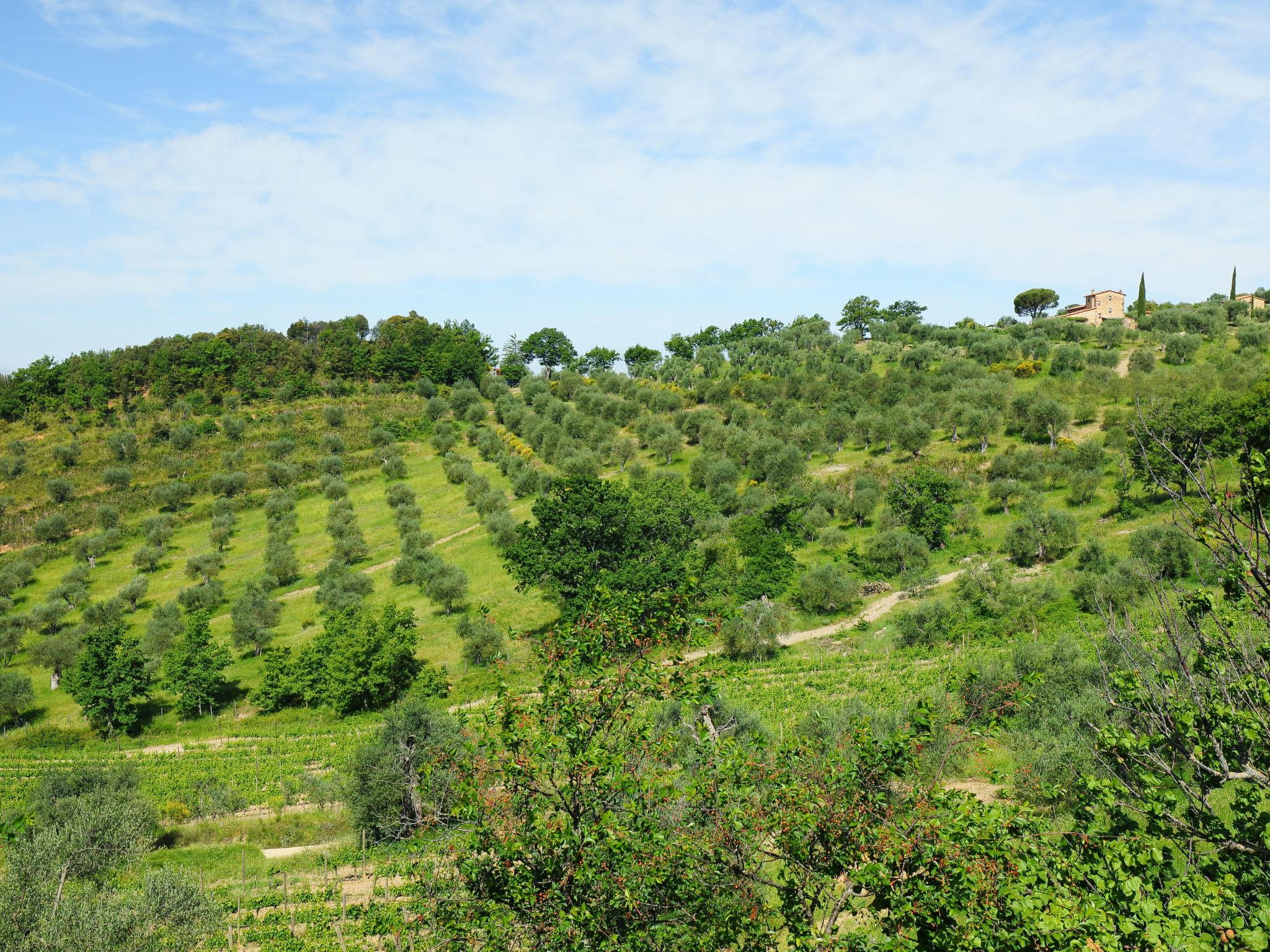 Photo 54 - 6 bedroom House in Seggiano with private pool and terrace