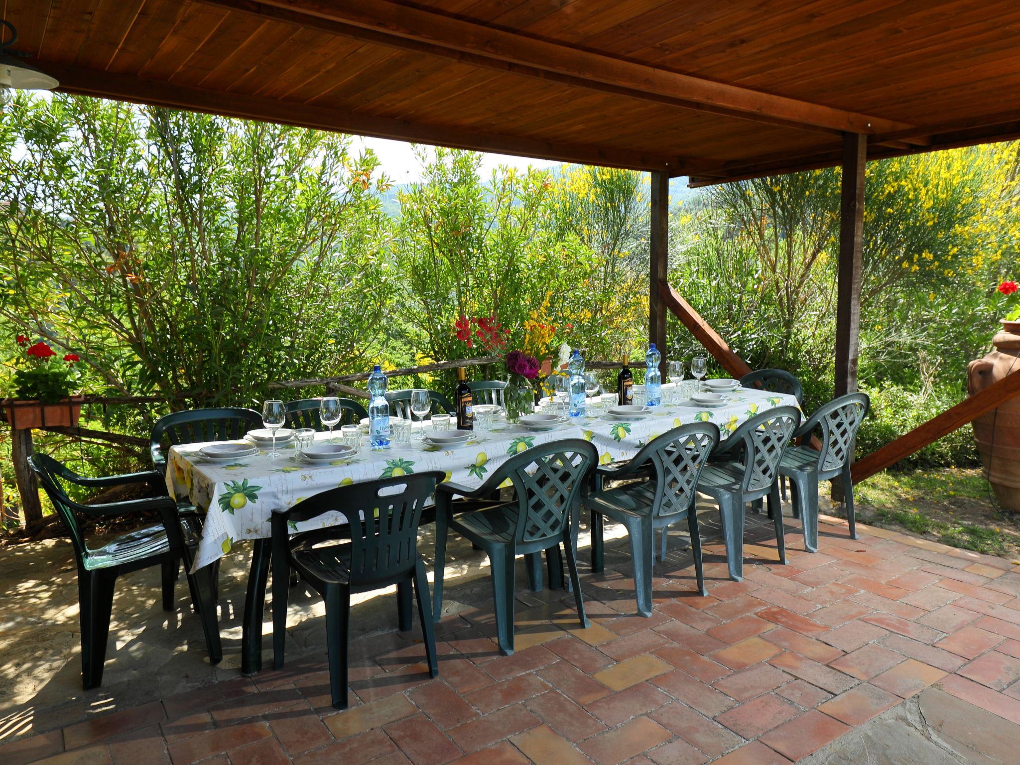 Foto 51 - Casa de 6 habitaciones en Seggiano con piscina privada y terraza