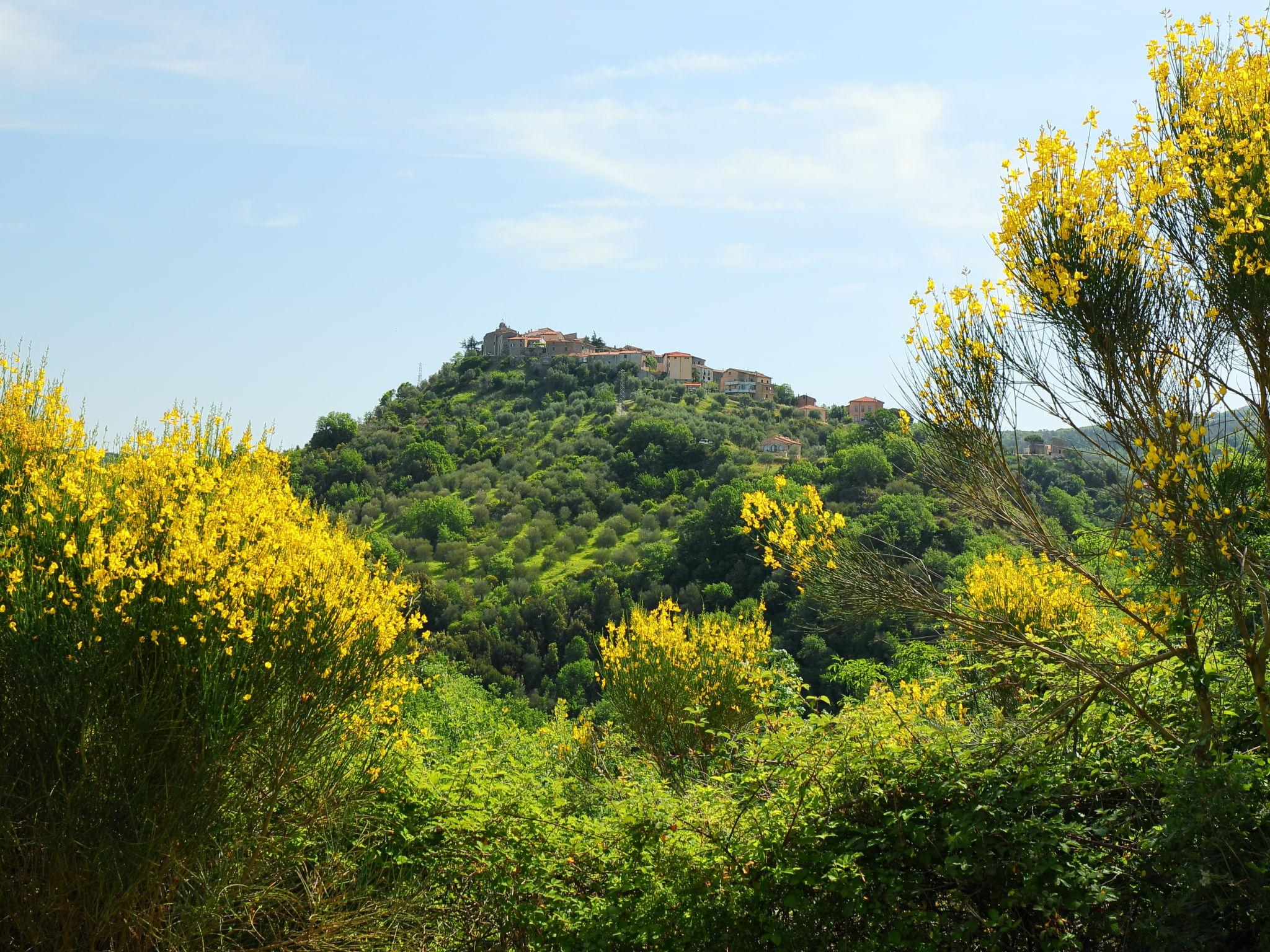 Photo 53 - 6 bedroom House in Seggiano with private pool and terrace